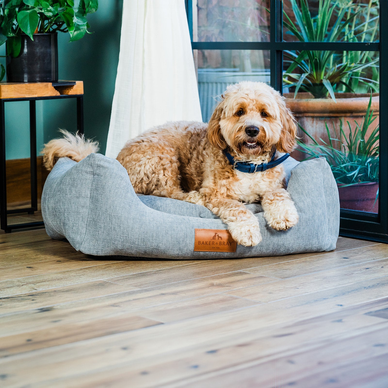 Luxury Dog Bed Eco Friendly Orthopaedic Memory Foam Dog Bed, Stone Grey