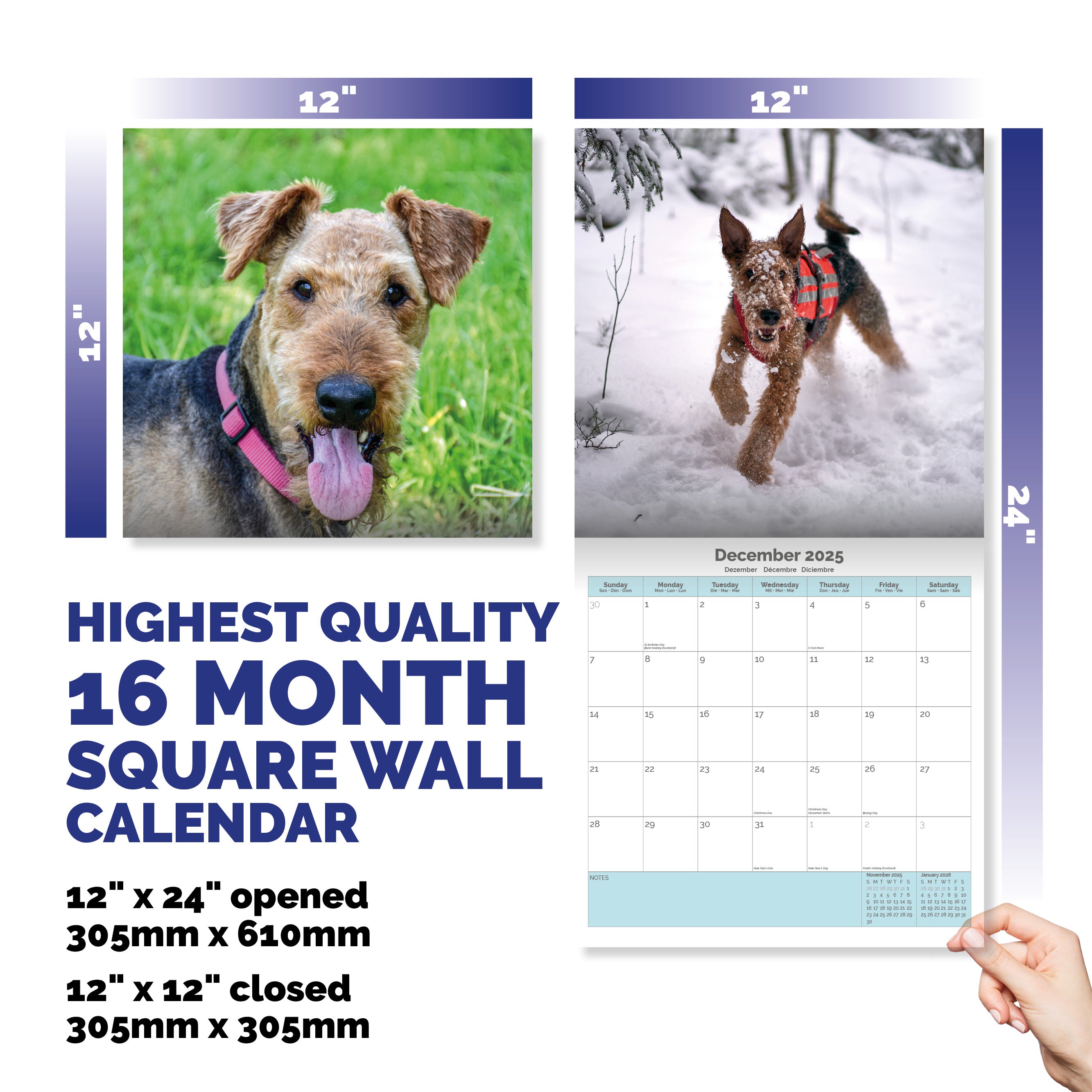 Airedale Terrier Calendar 2025