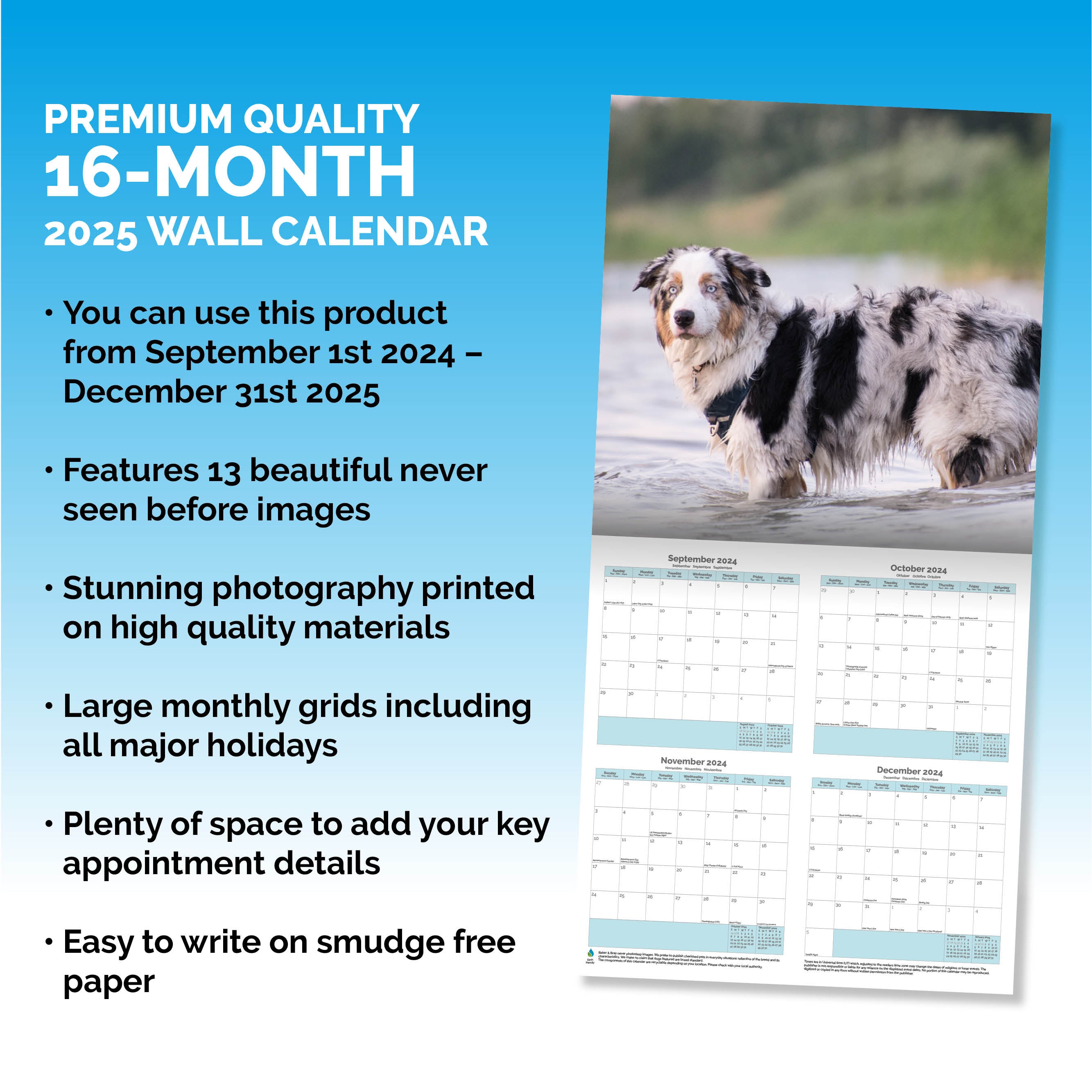 Australian Shepherd Calendar 2025