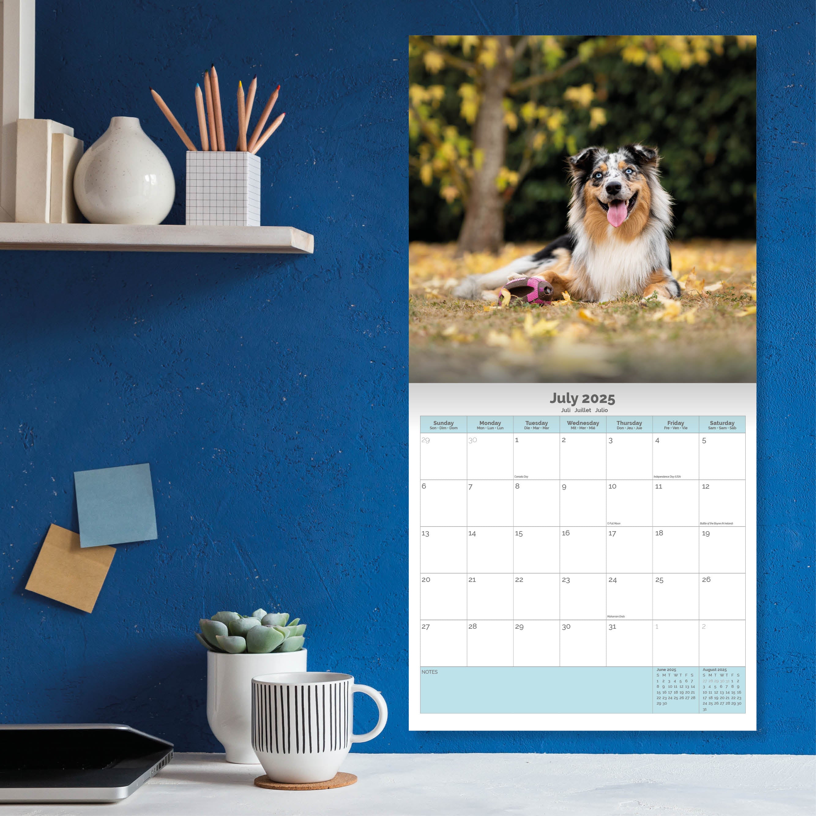 Australian Shepherd Calendar 2025