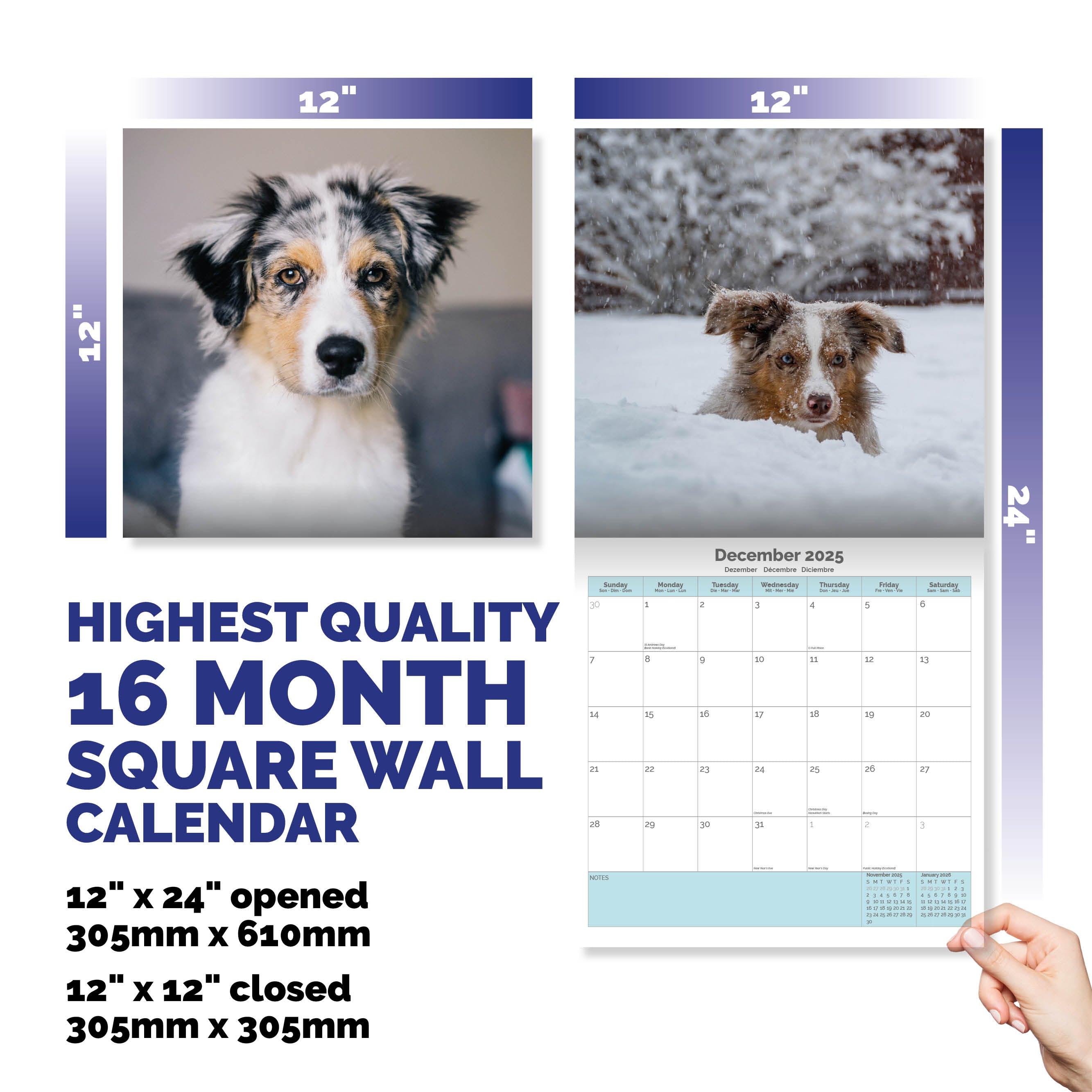 Australian Shepherd Calendar 2025