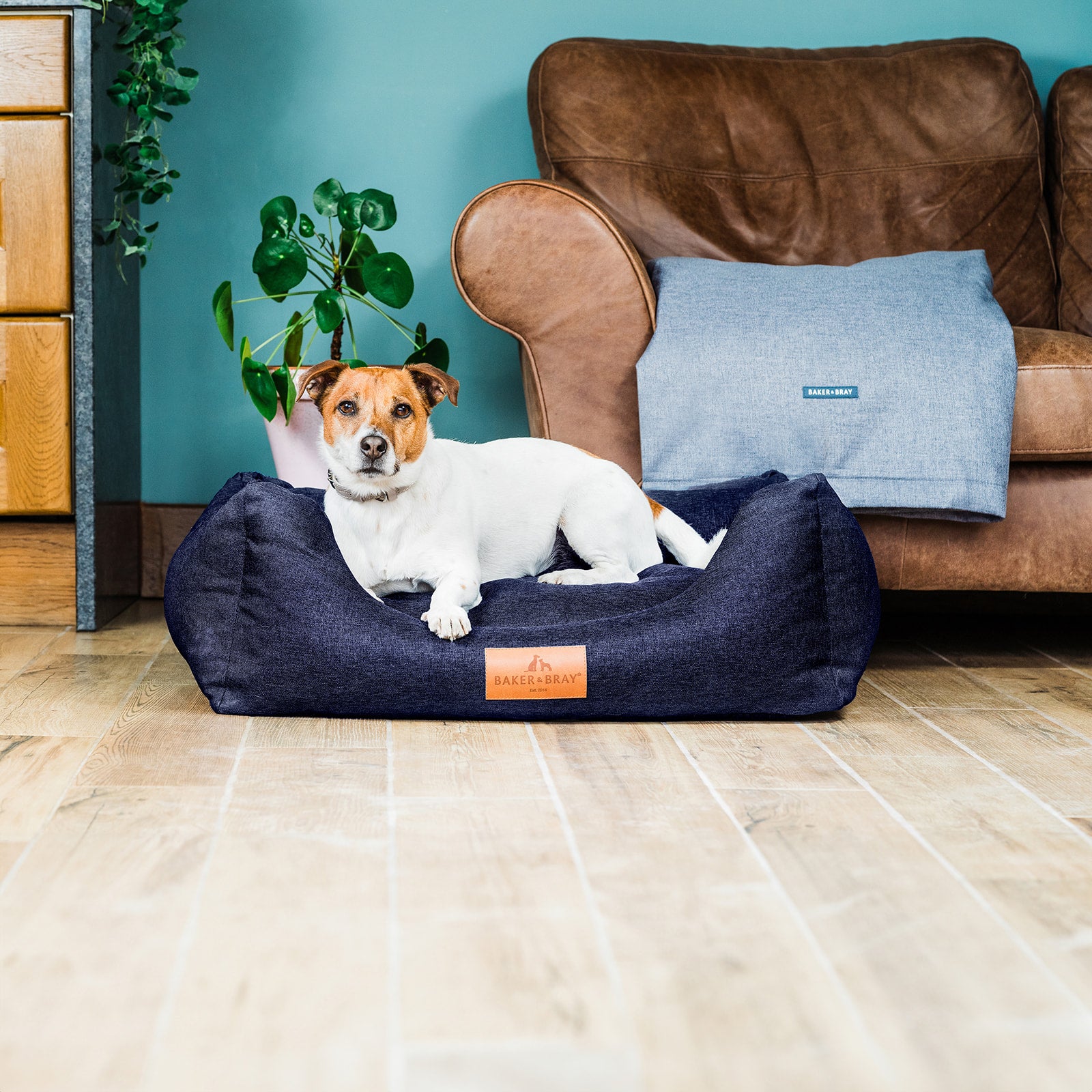 Dark blue dog bed hotsell