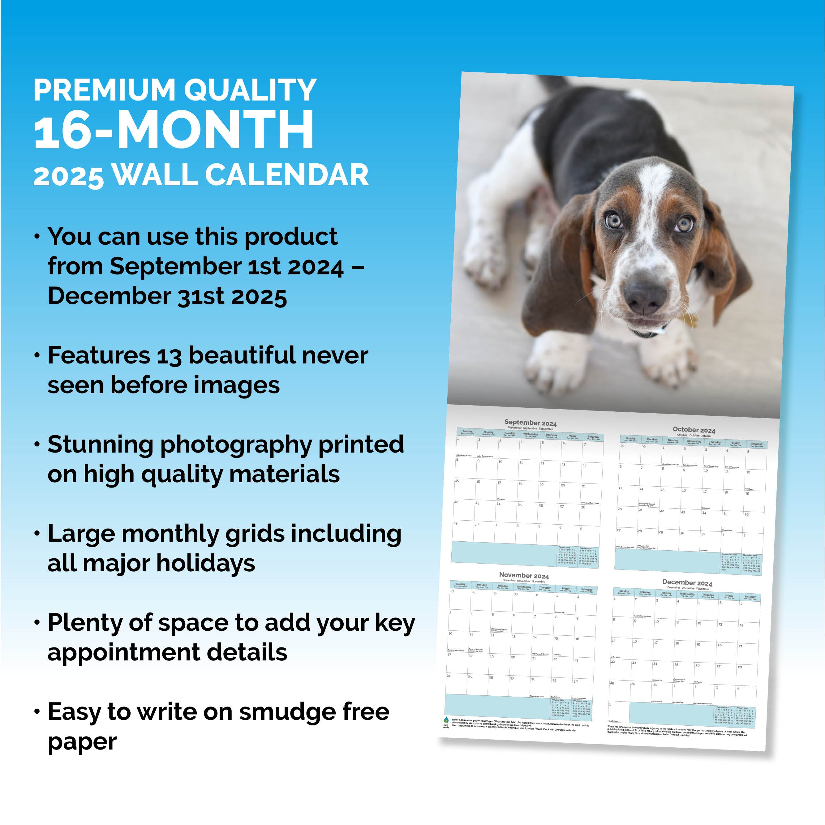 Basset Hound Calendar 2025