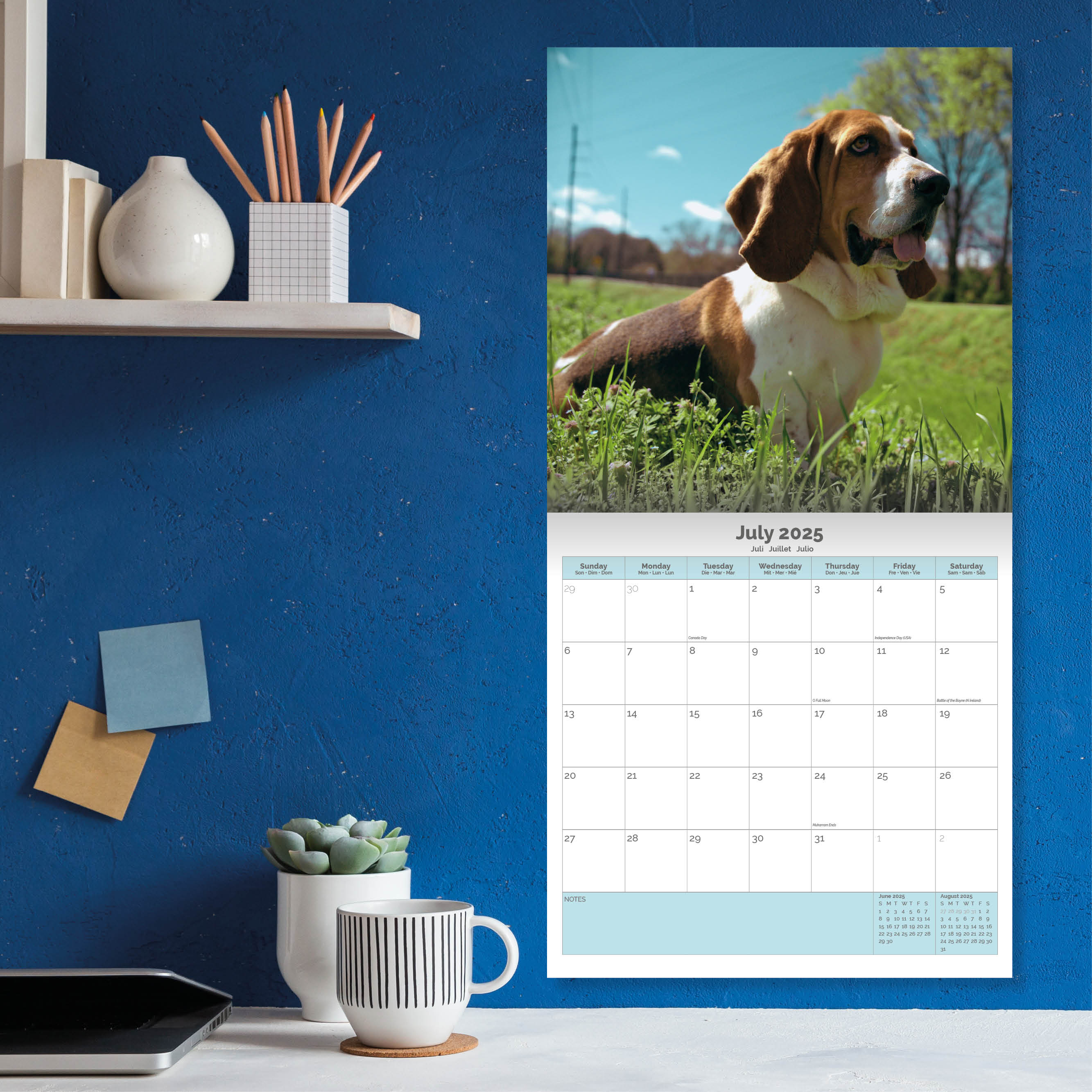 Basset Hound Calendar 2025