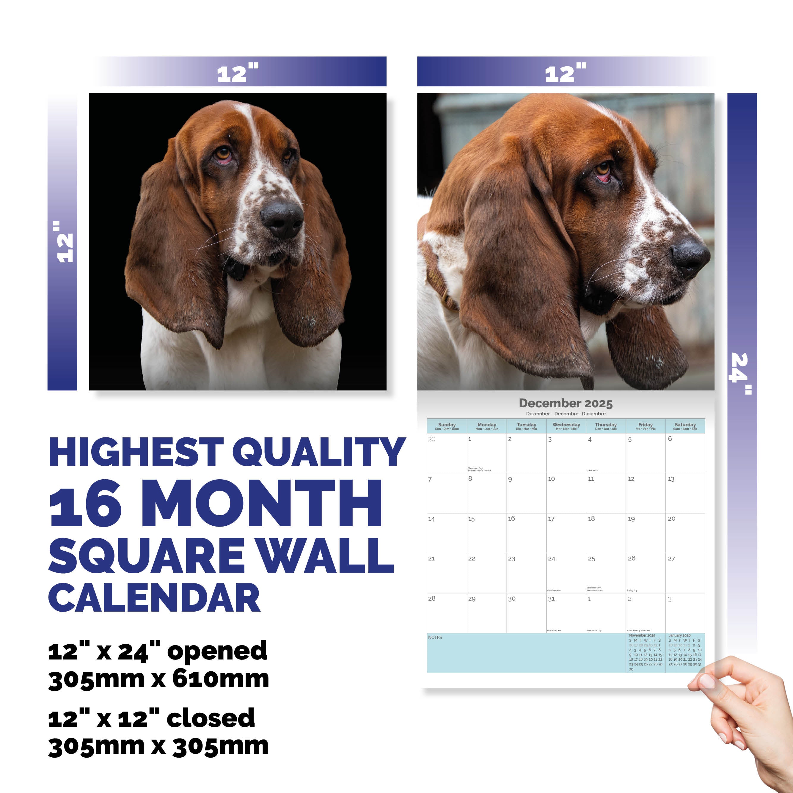 Basset Hound Calendar 2025