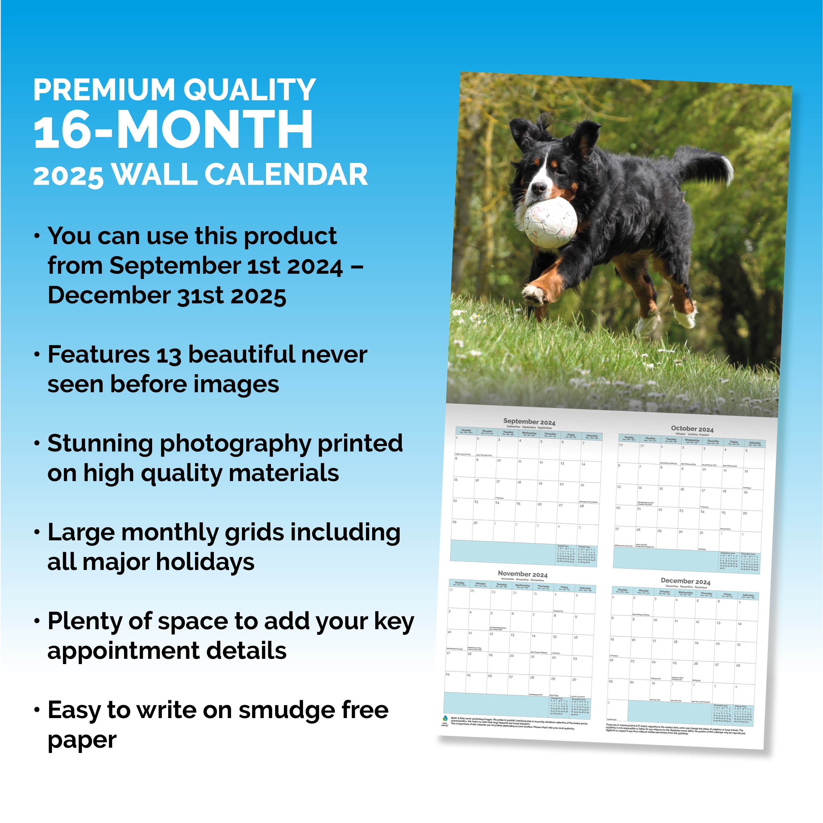 Bernese Mountain Dog Calendar 2025