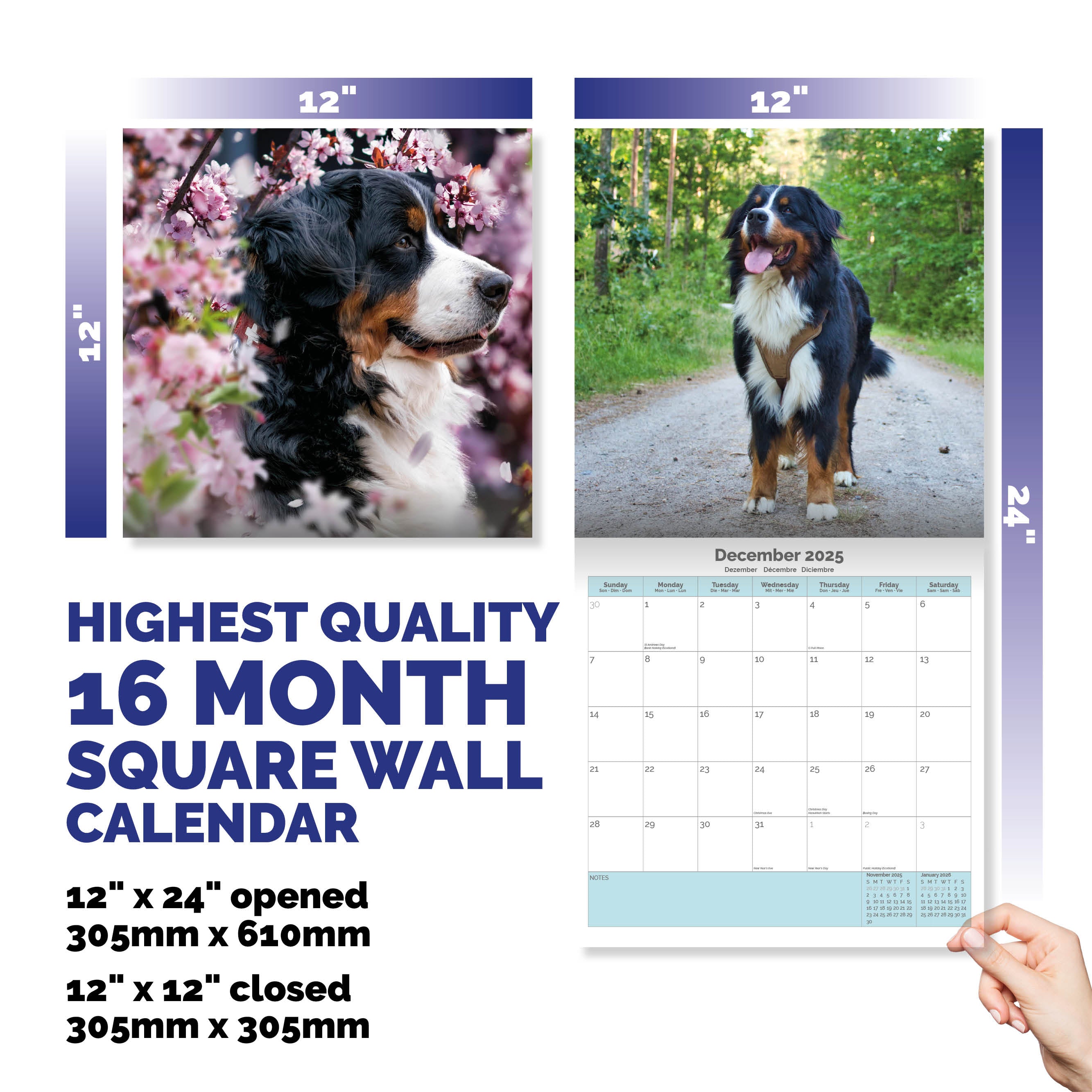 Bernese Mountain Dog Calendar 2025