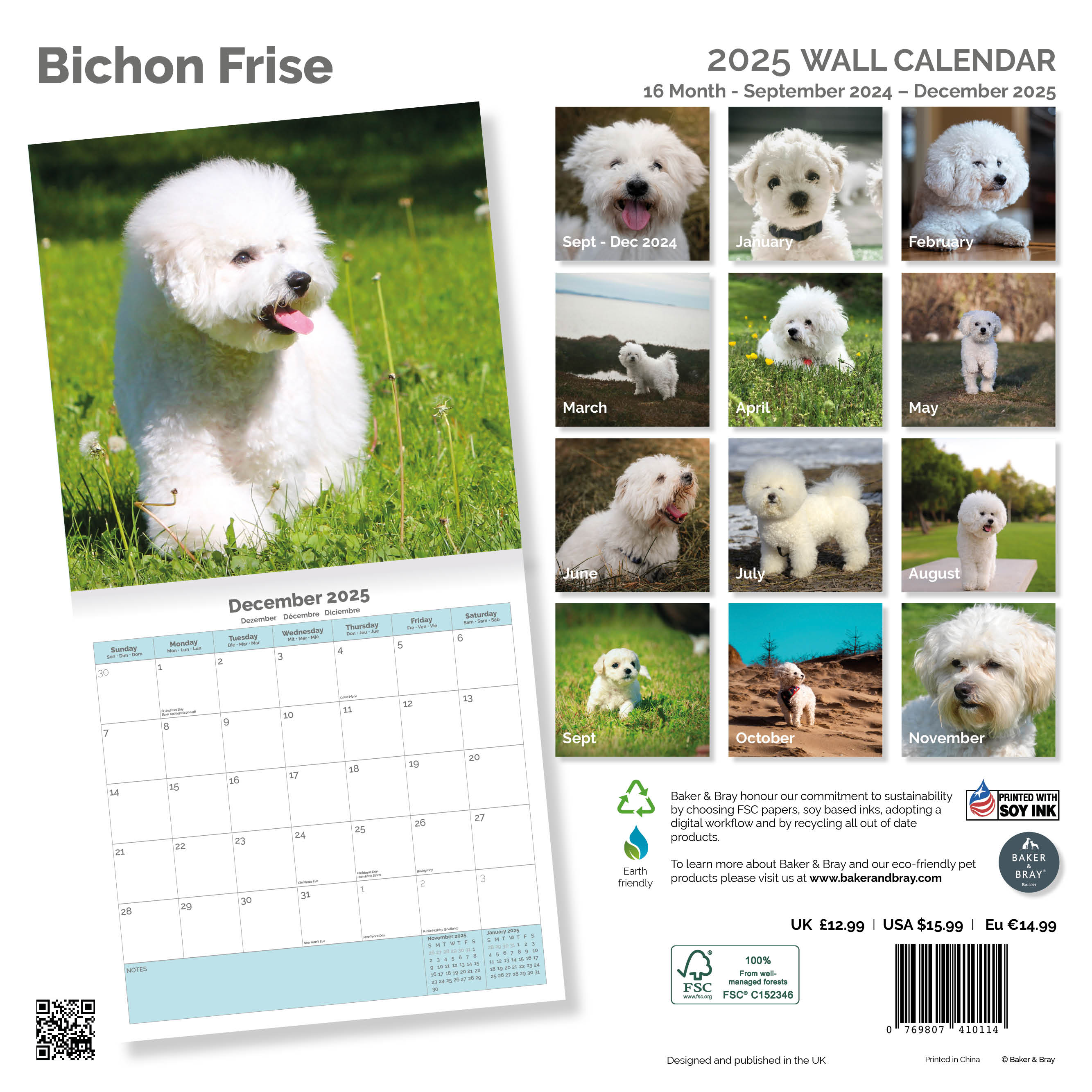 Bichon Frise Calendar 2025