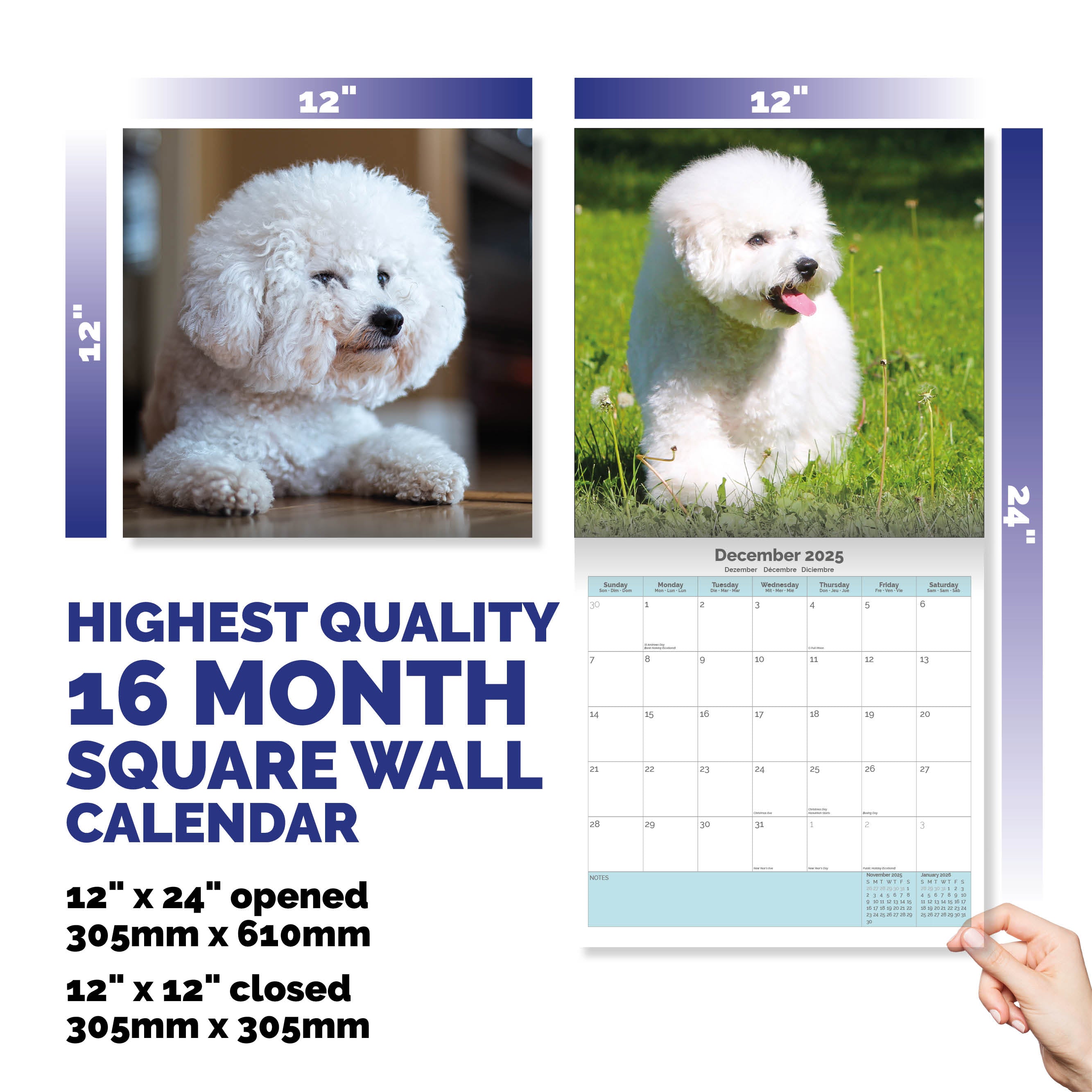 Bichon Frise Calendar 2025