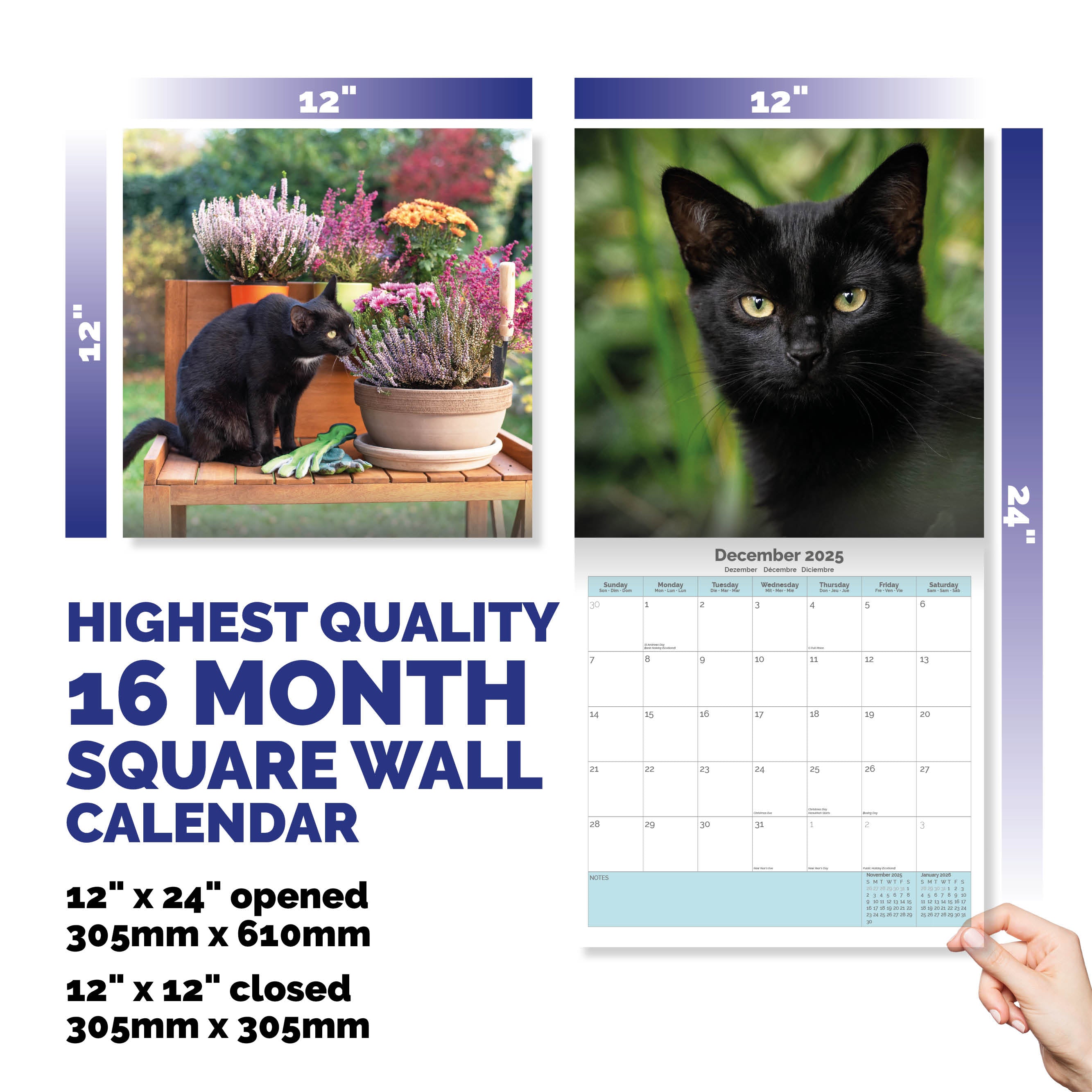 Black Cats Calendar 2025