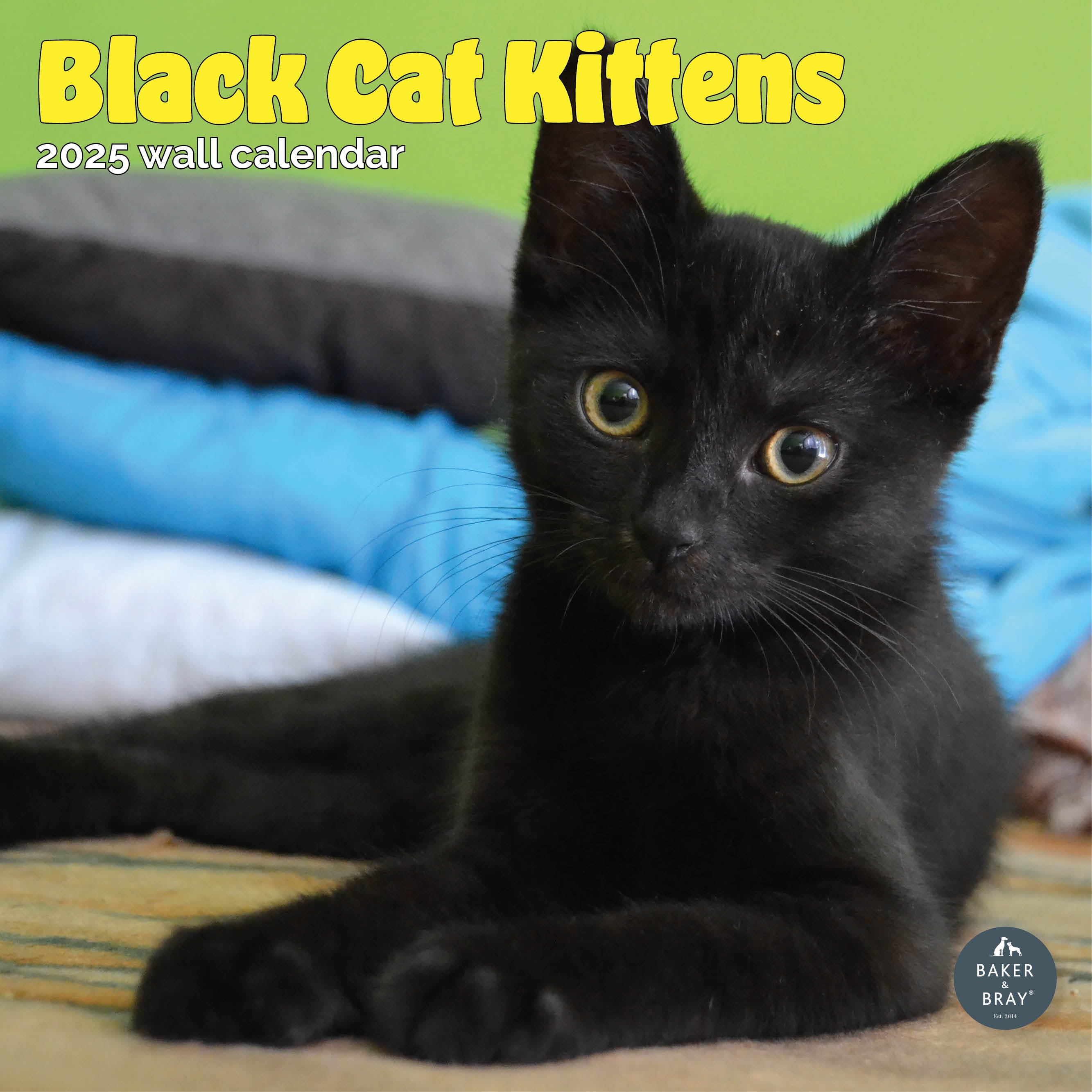 Black Cat Kittens Calendar 2025