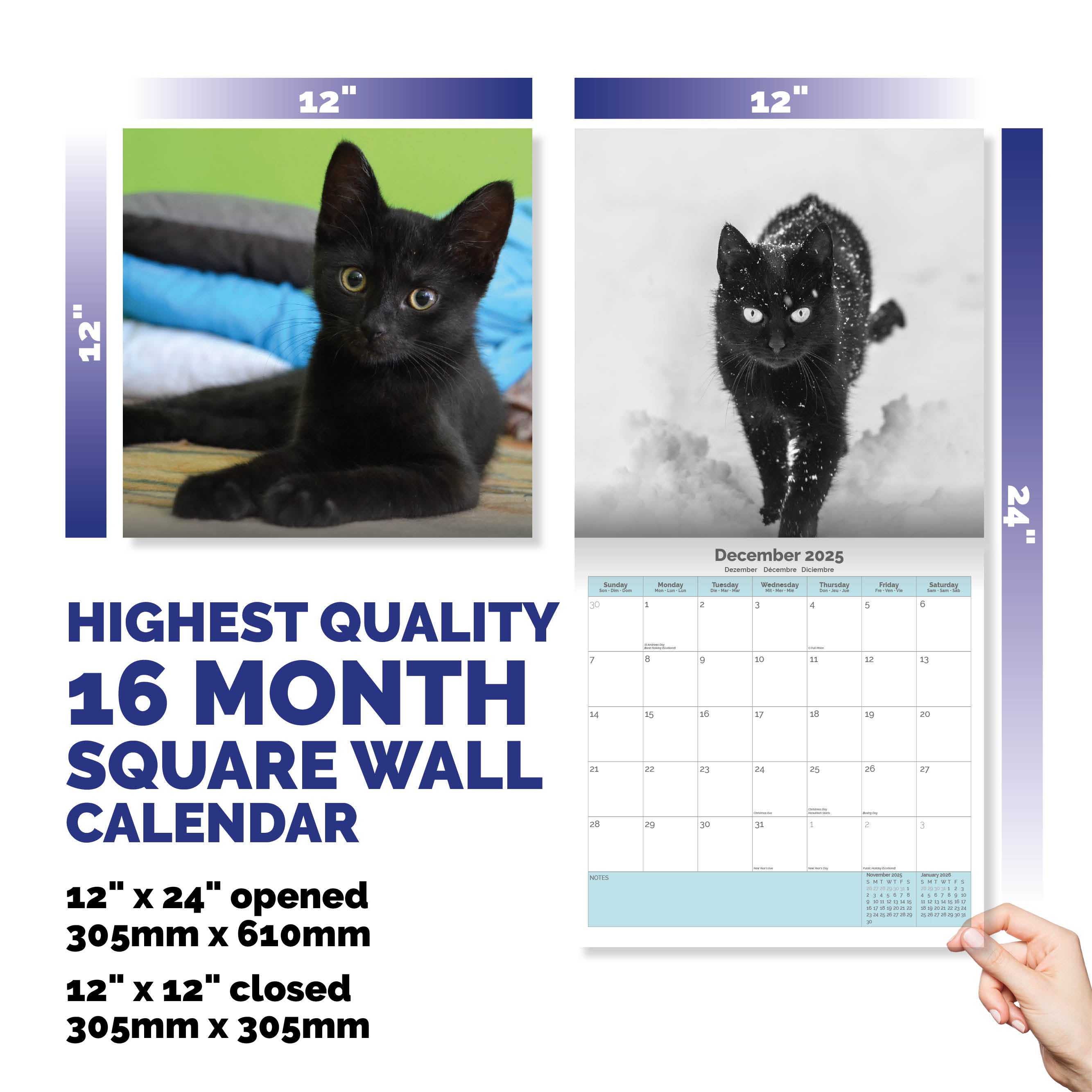 Black Cat Kittens Calendar 2025