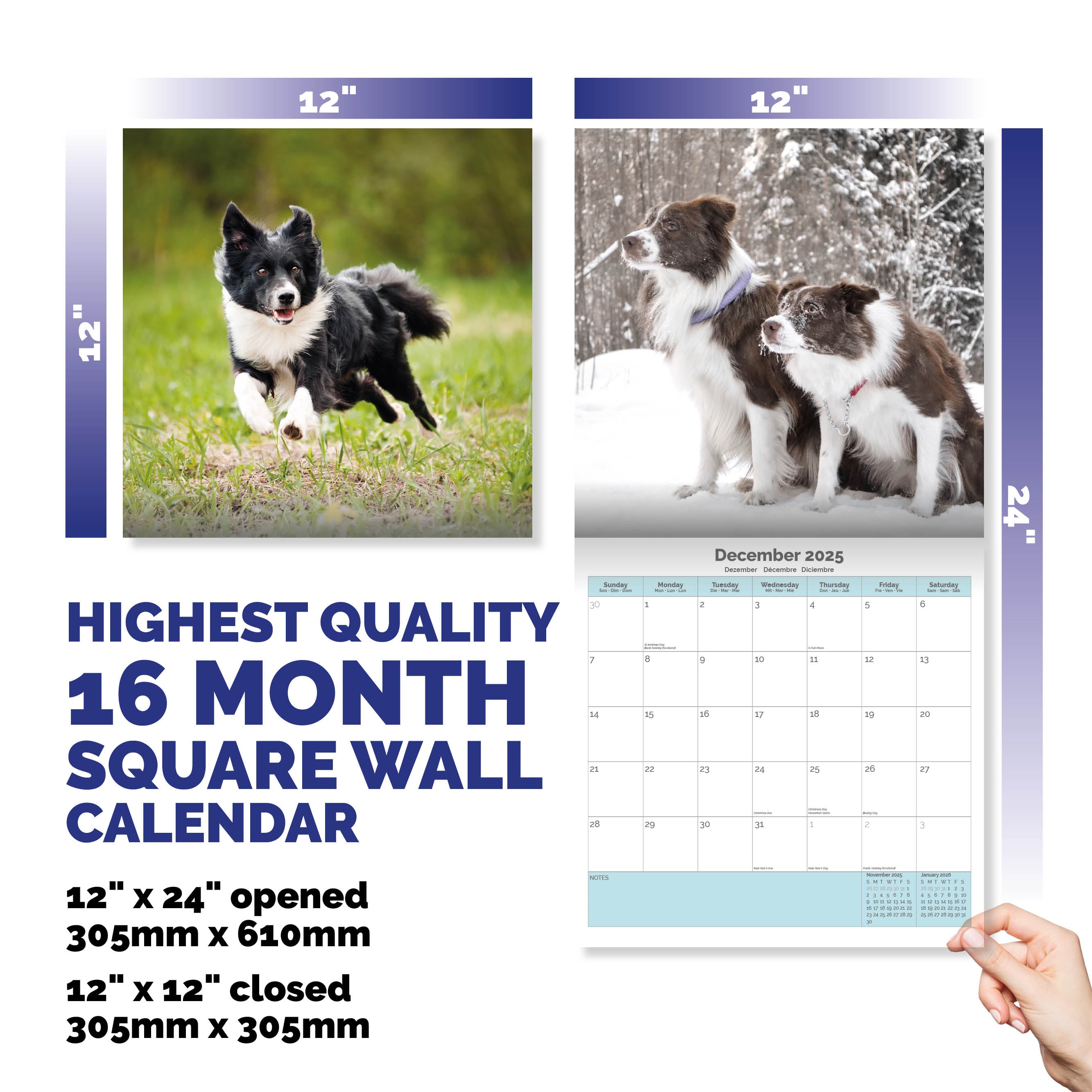 Border Collie Calendar 2025