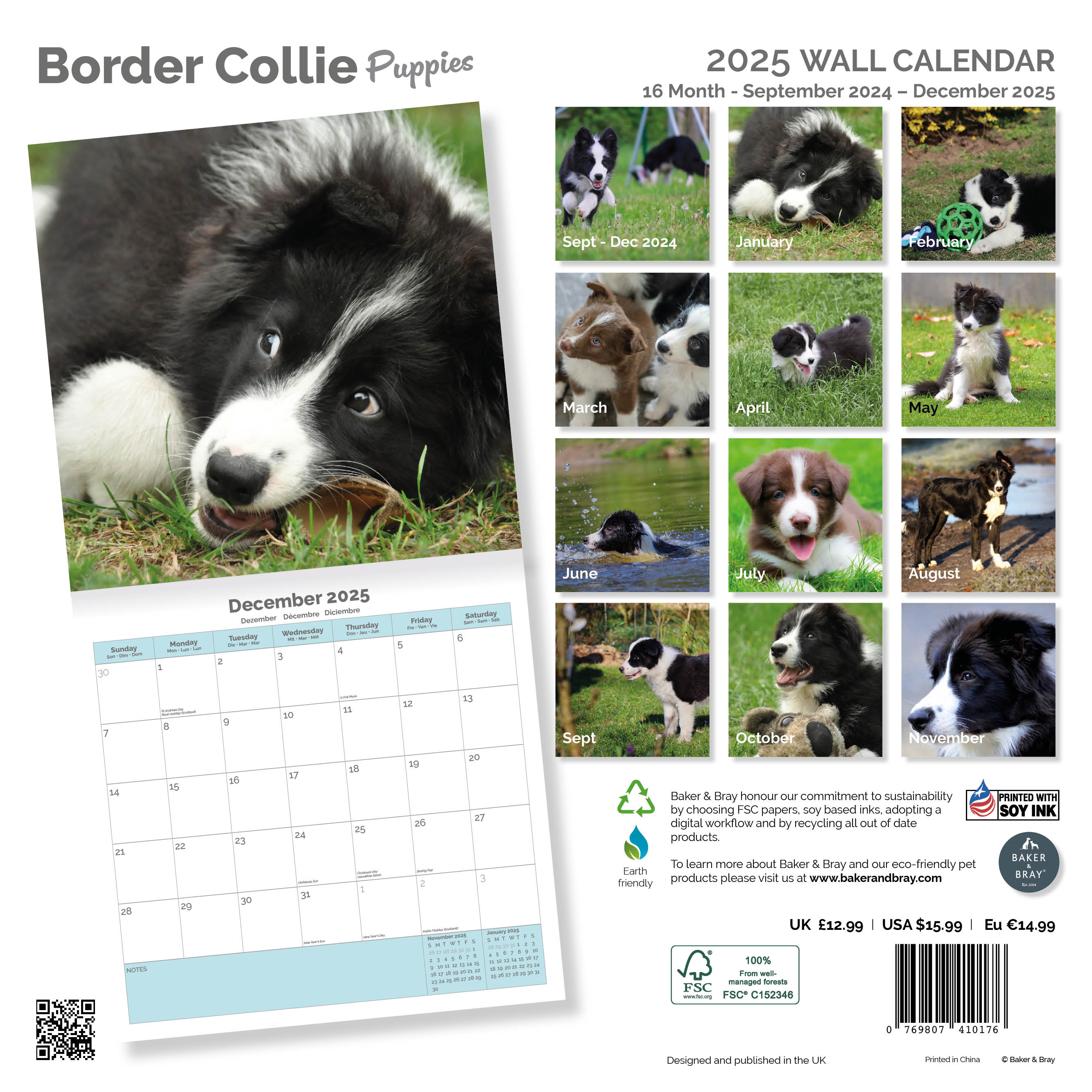 Border Collie Puppies Calendar 2025
