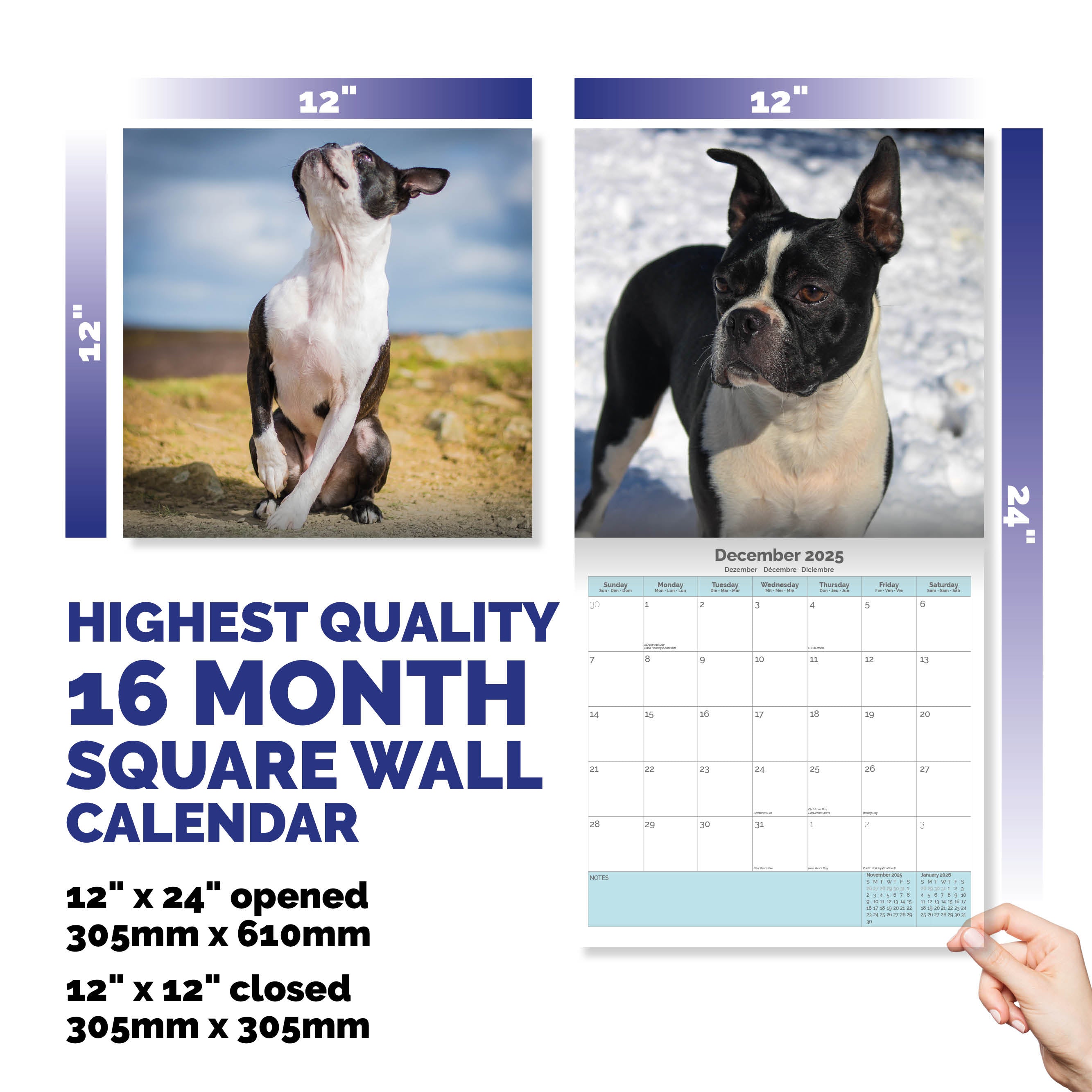 Boston Terrier Calendar 2025