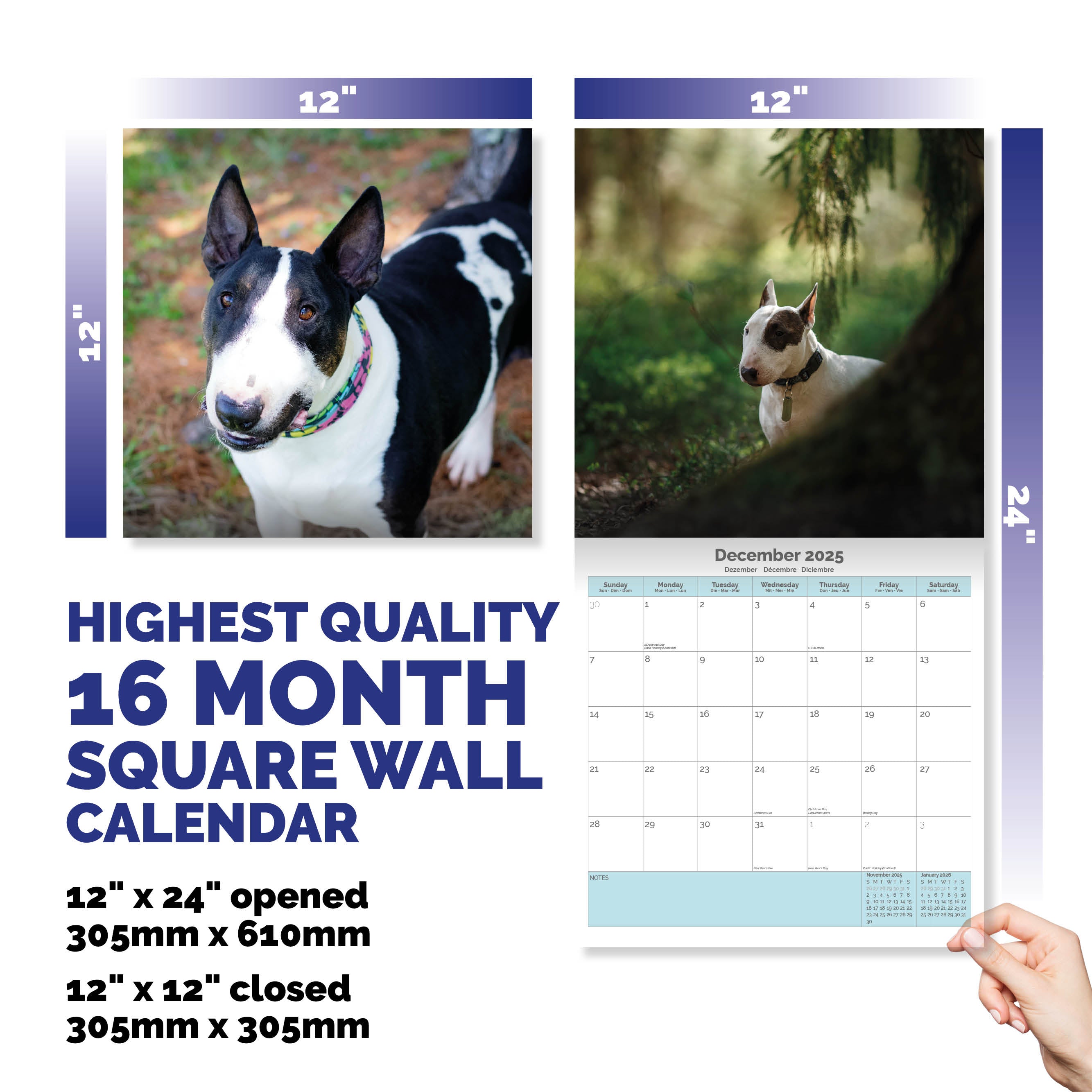 Bull Terrier Calendar 2025