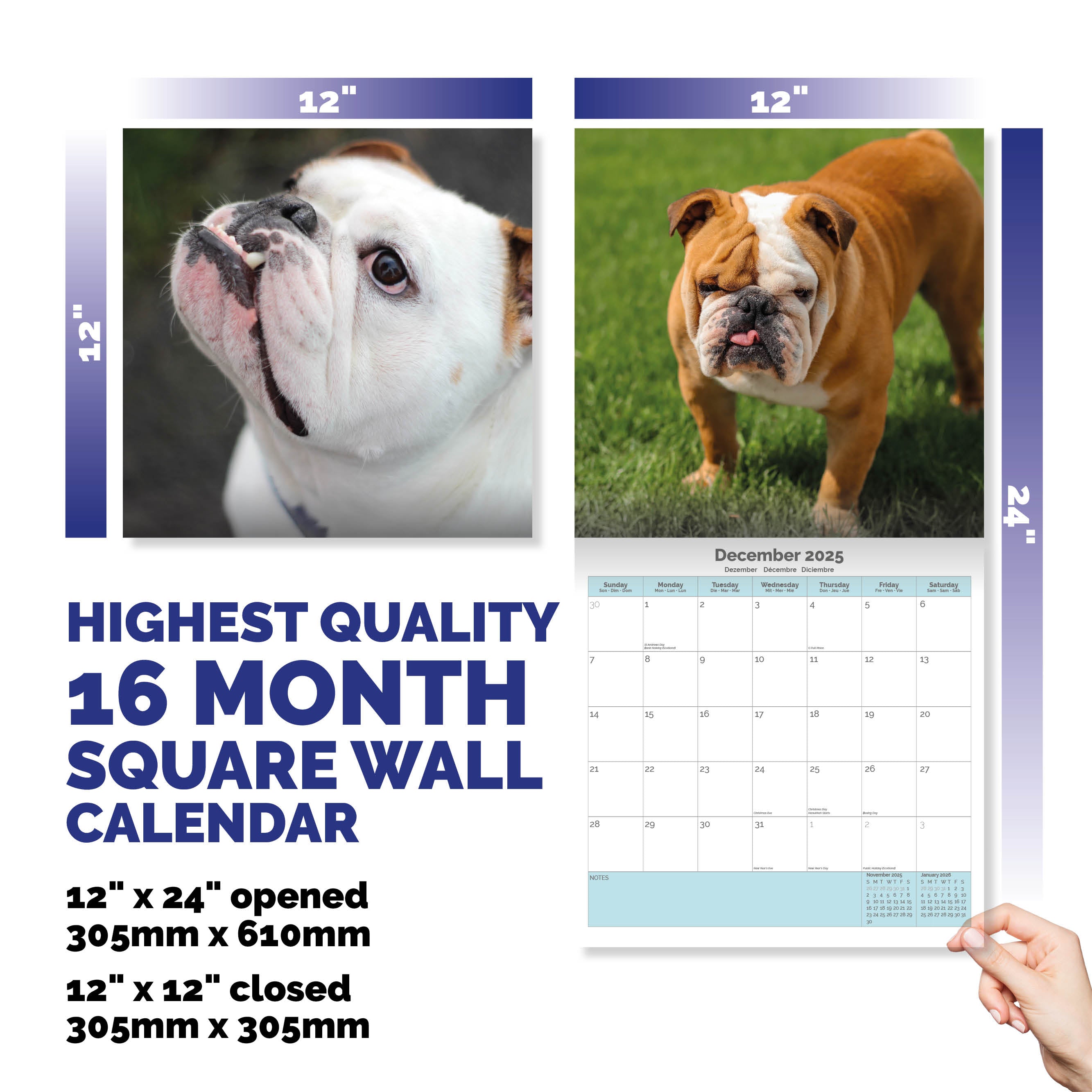 Bulldog Calendar 2025