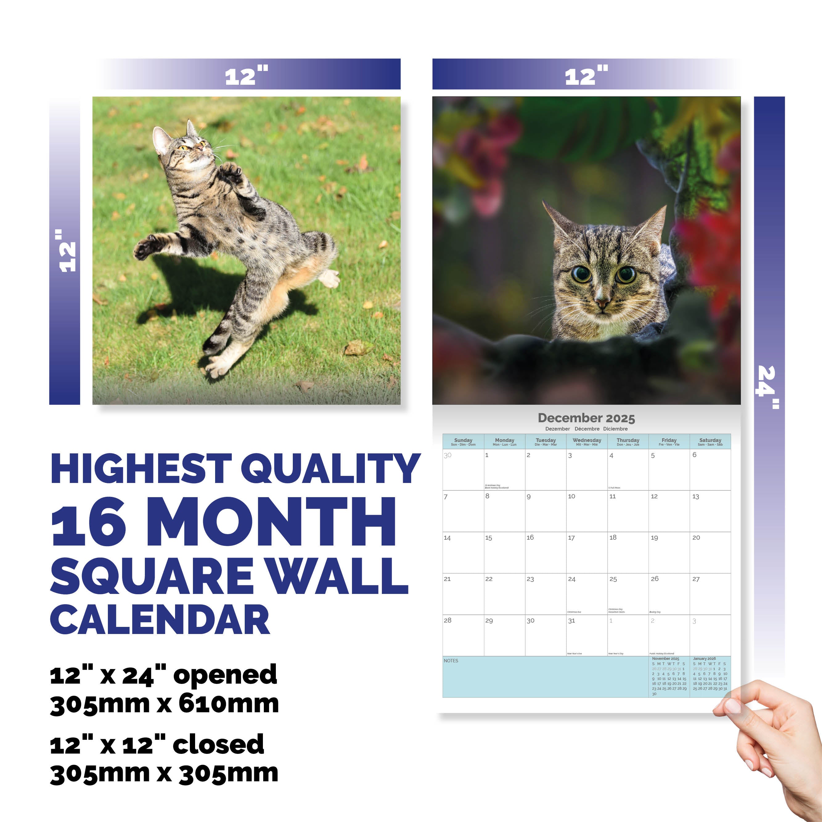 Cats Calendar 2025