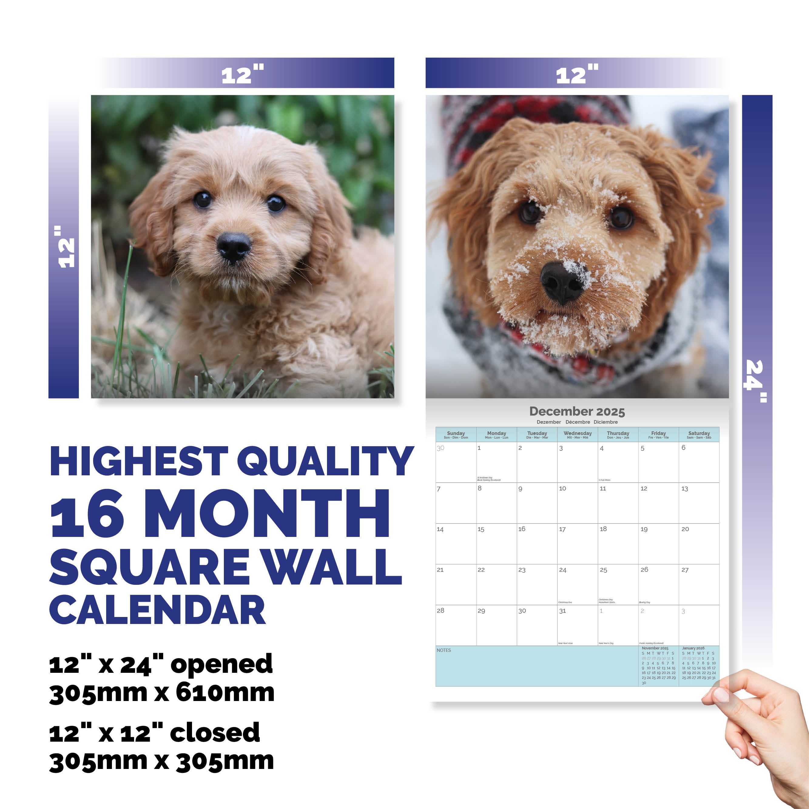 Cavapoo Calendar 2025