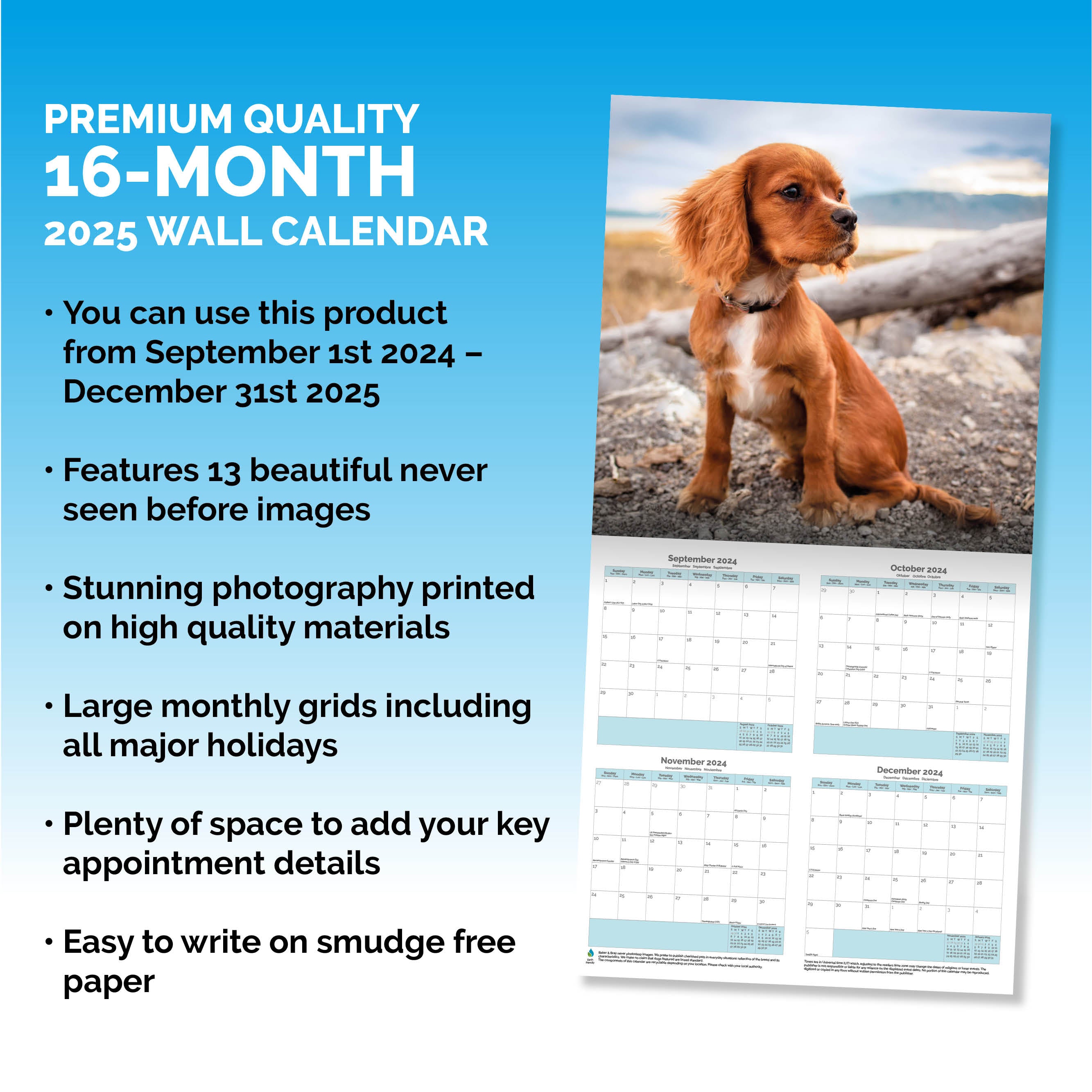 Cavalier King Charles Spaniel Calendar 2025