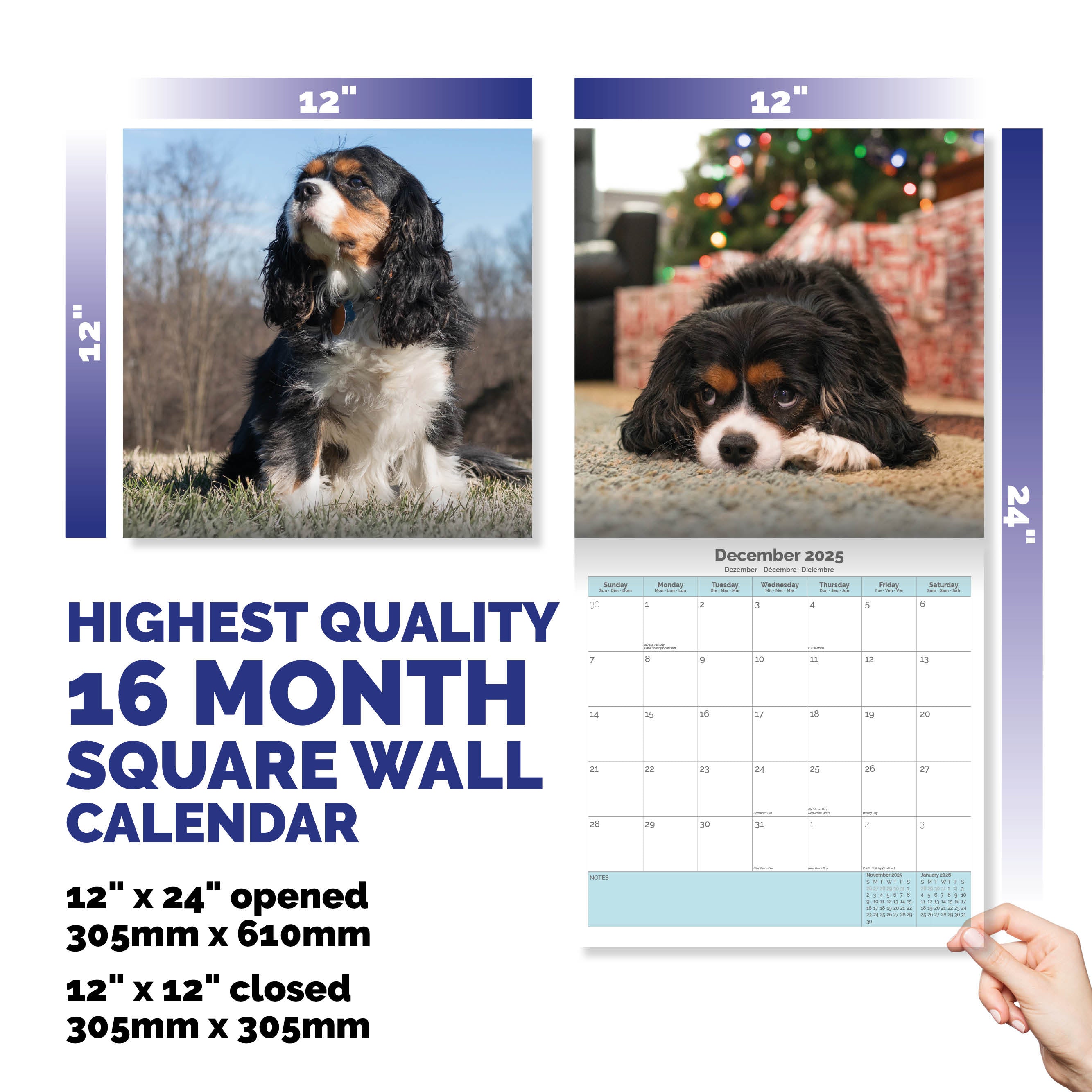 Cavalier King Charles Spaniel Calendar 2025