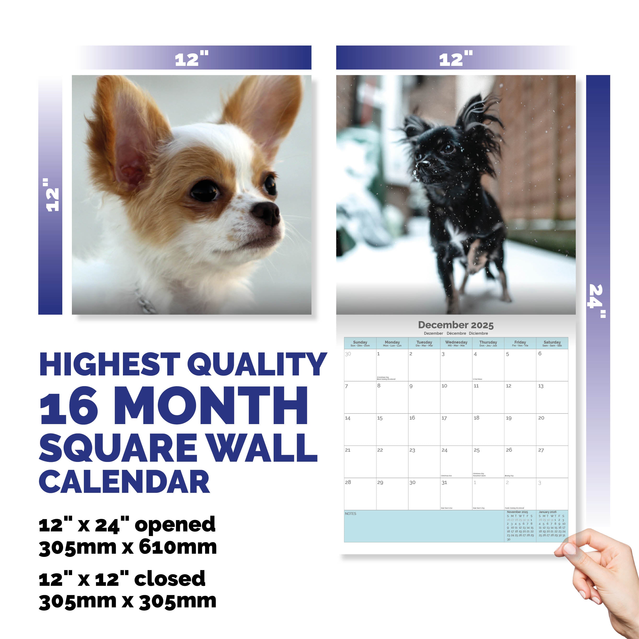 Chihuahua Calendar 2025