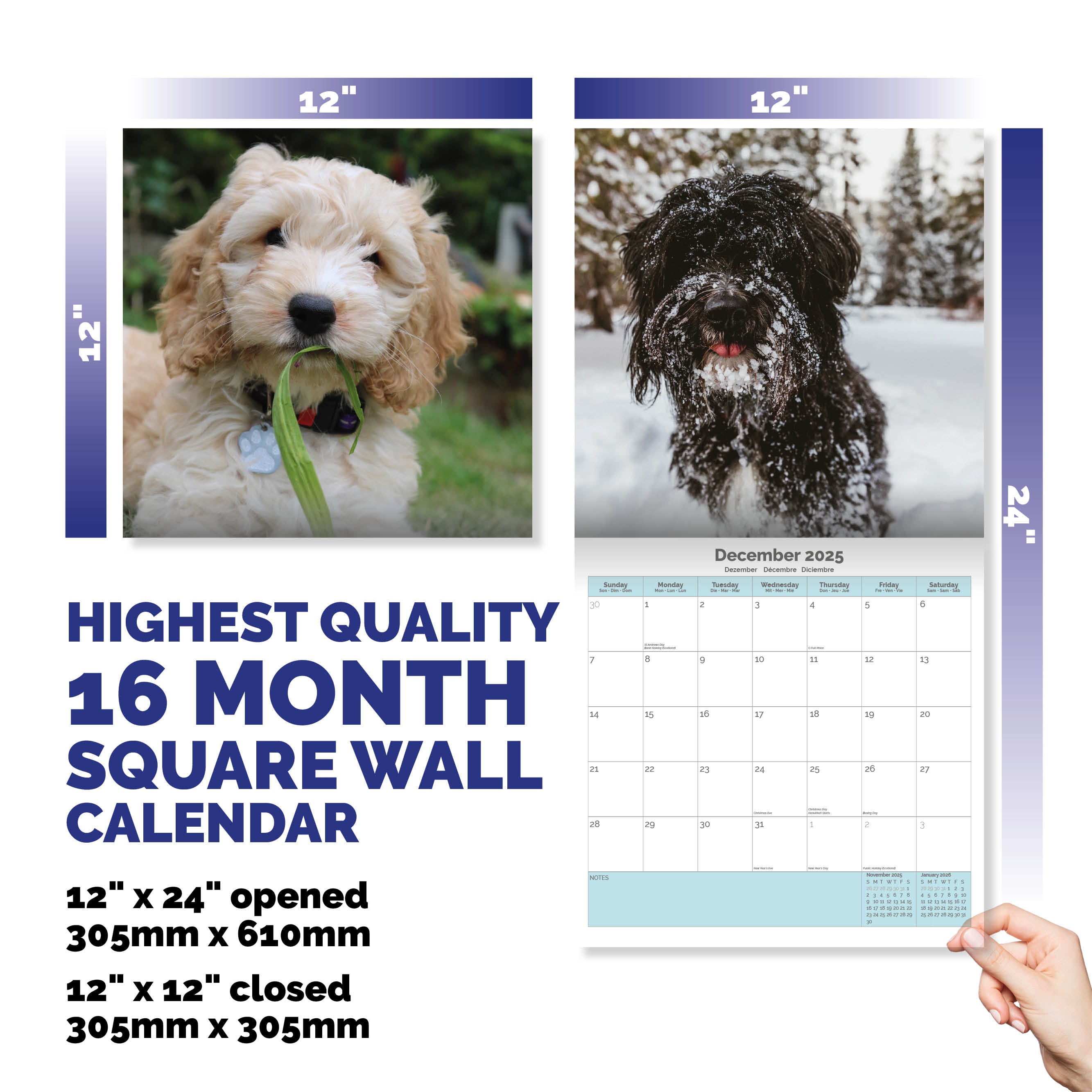 Cockapoo Calendar 2025