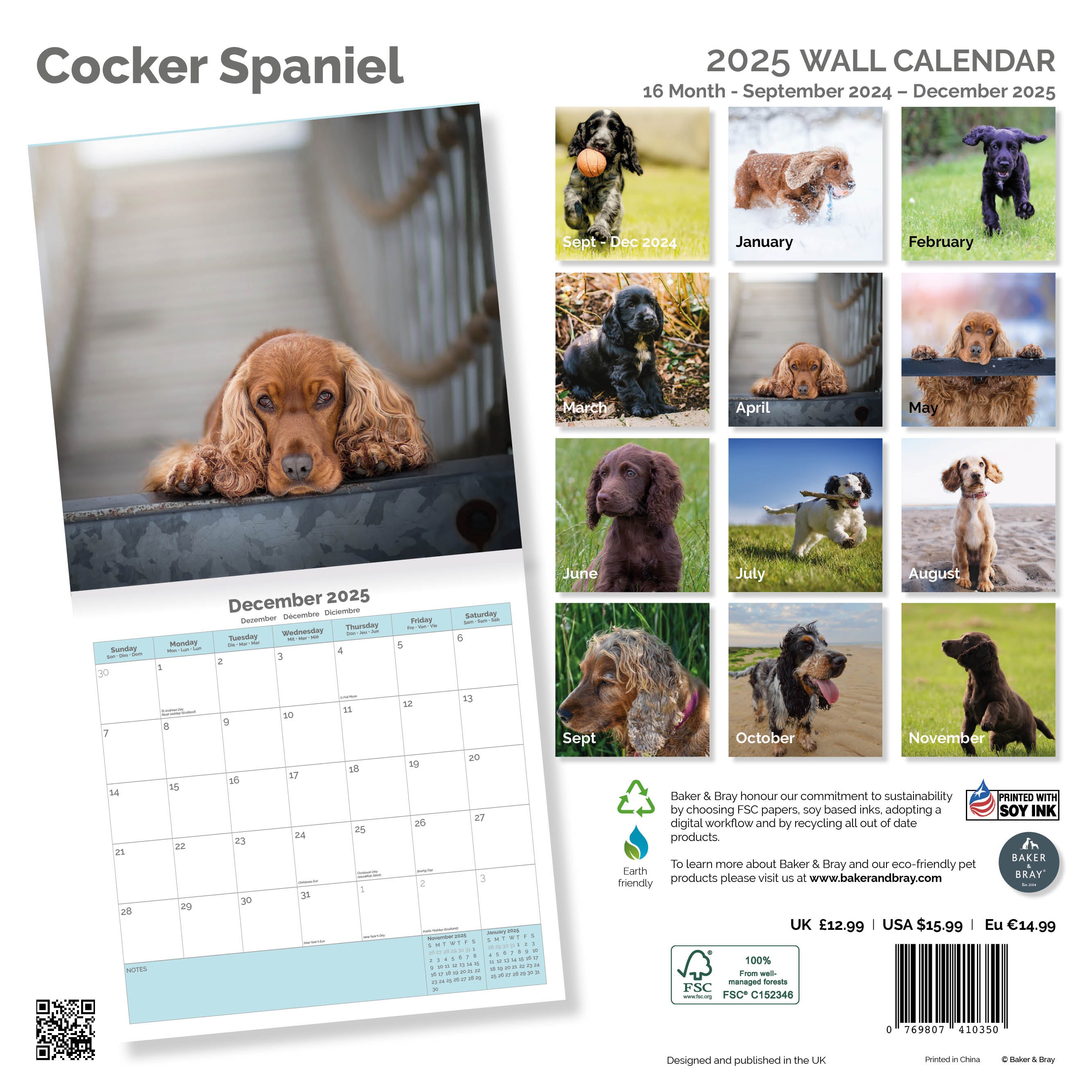Cocker Spaniel Calendar 2025