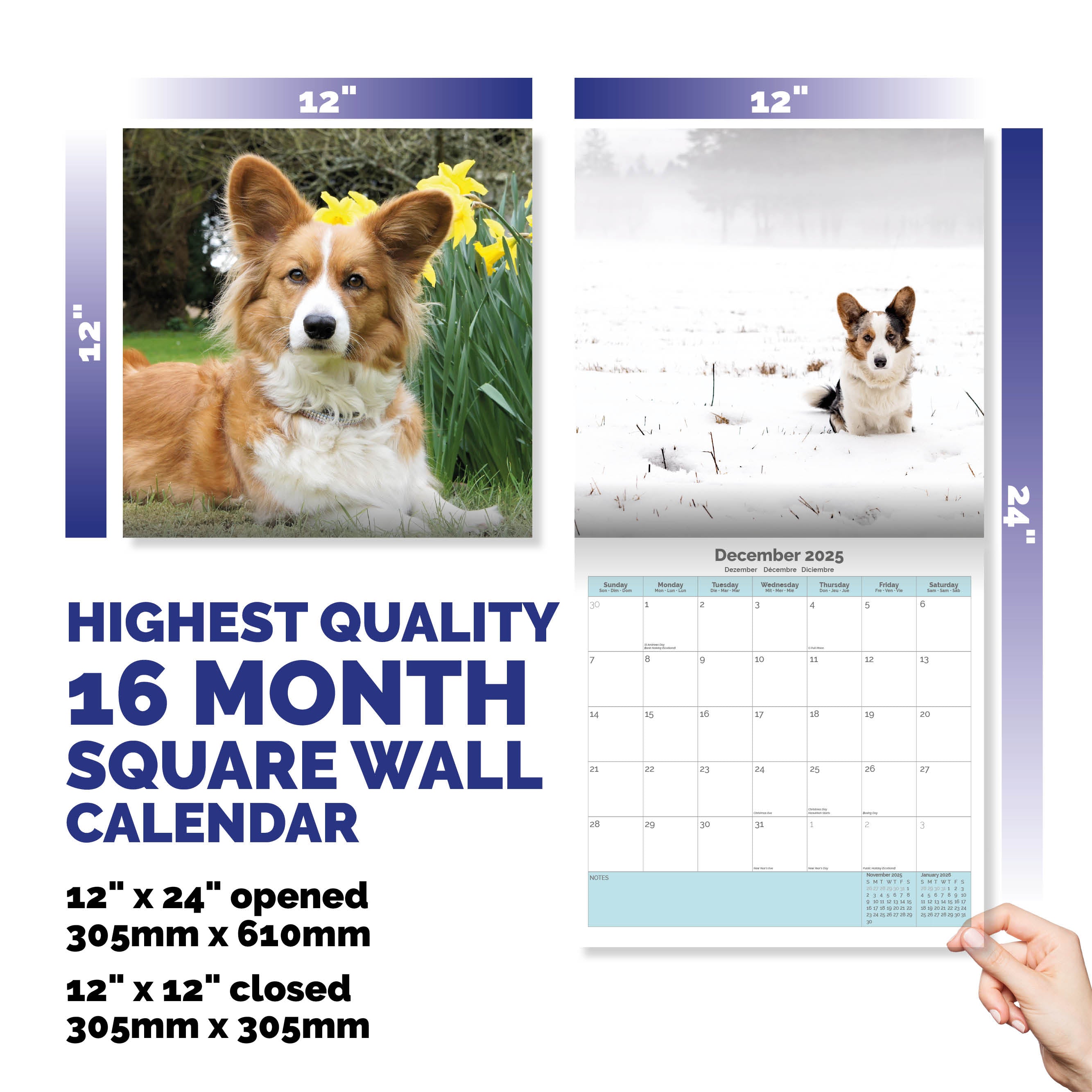 Corgi Calendar 2025