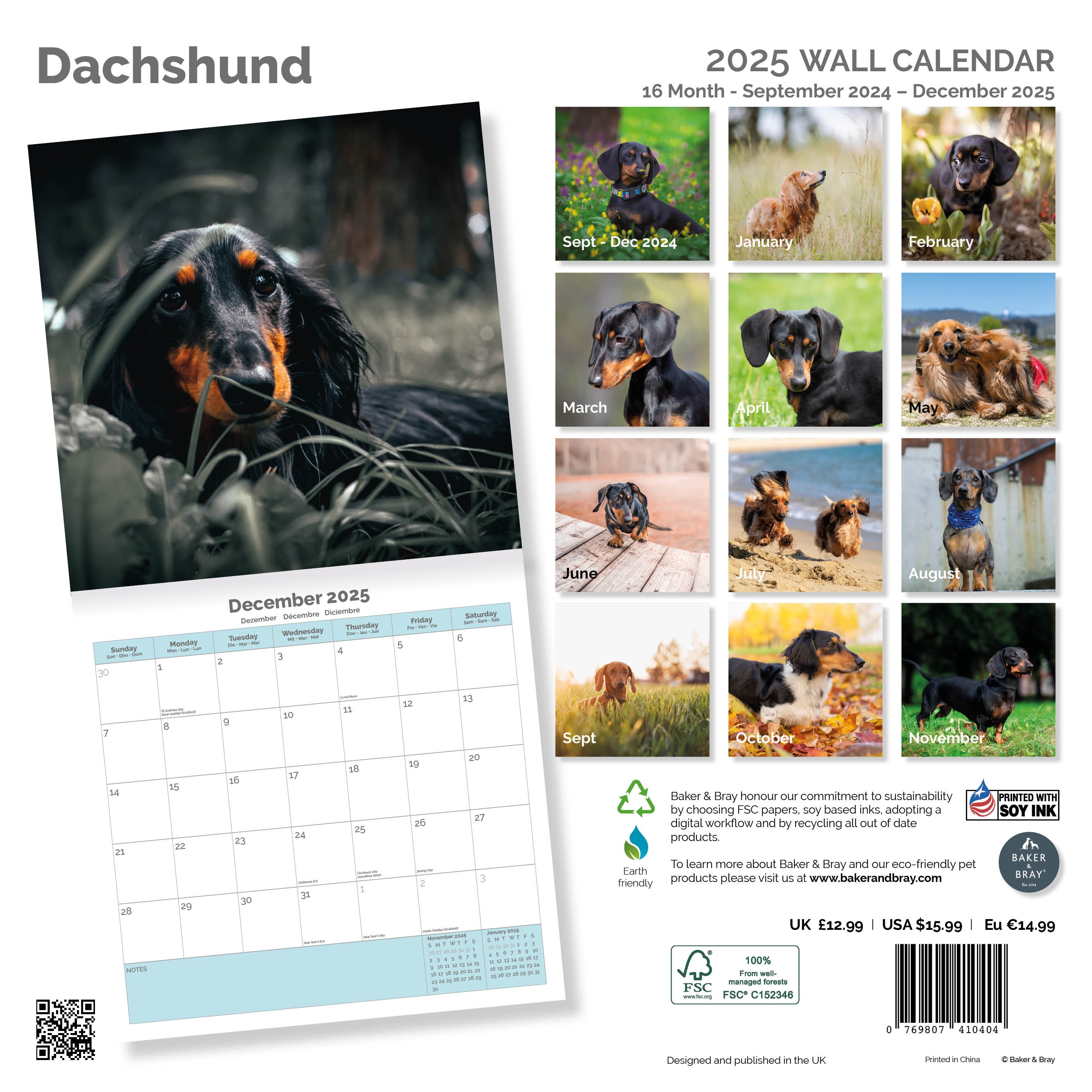 Dachshund Calendar 2025
