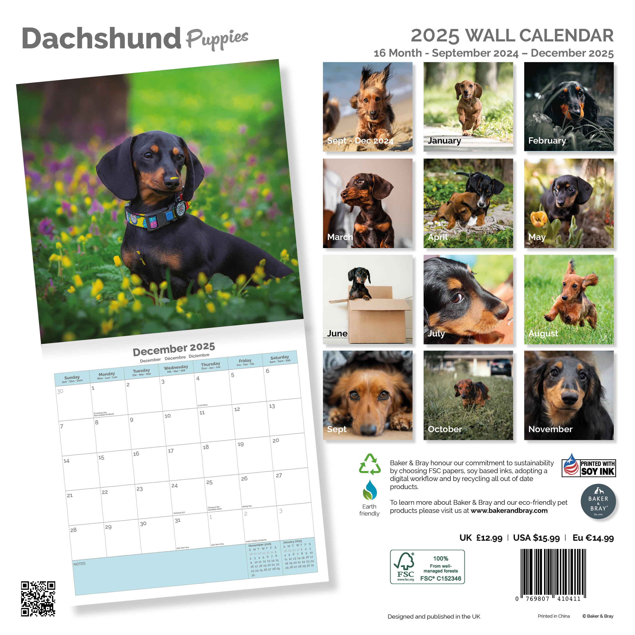 Dachshund Puppies Calendar 2025