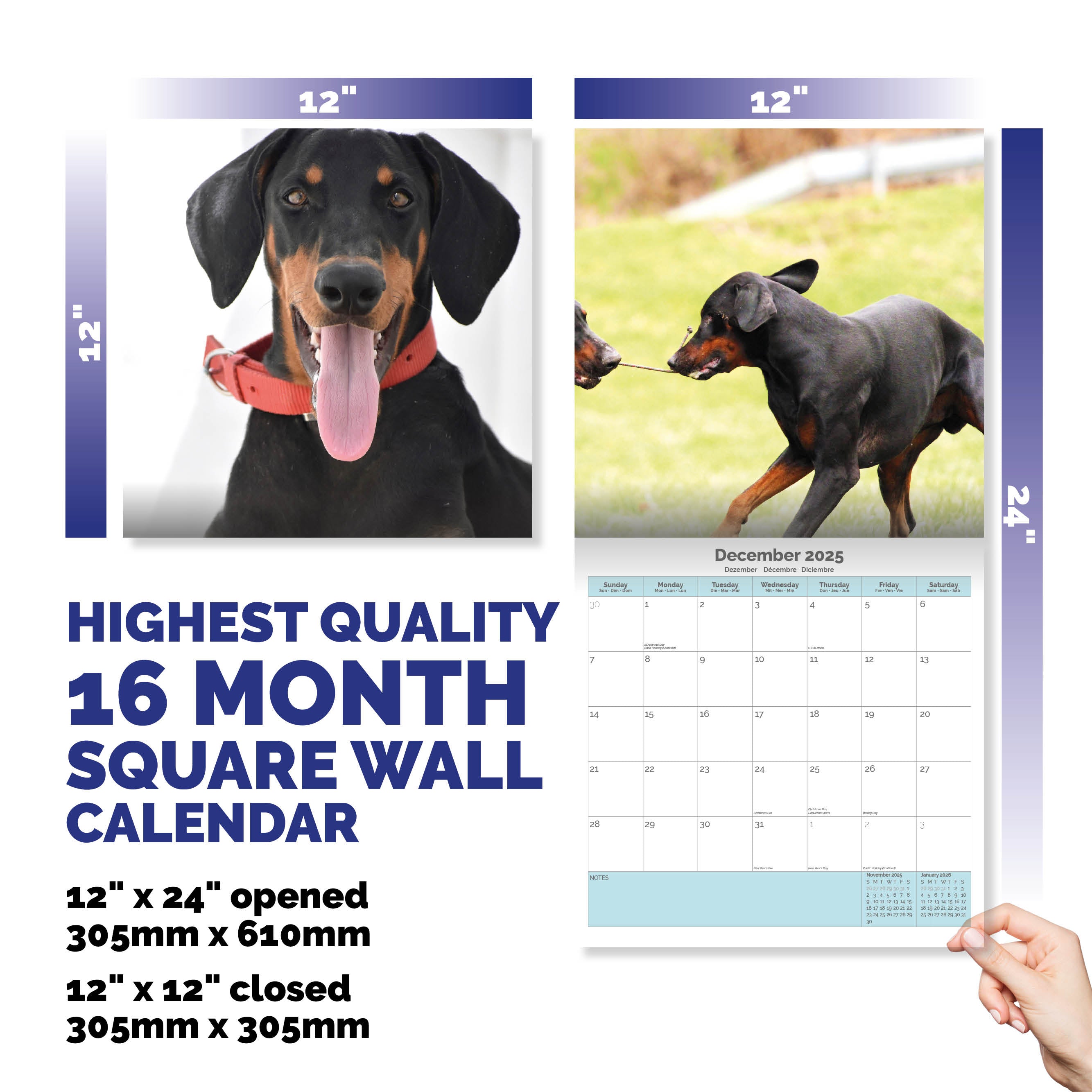 Doberman Calendar 2025