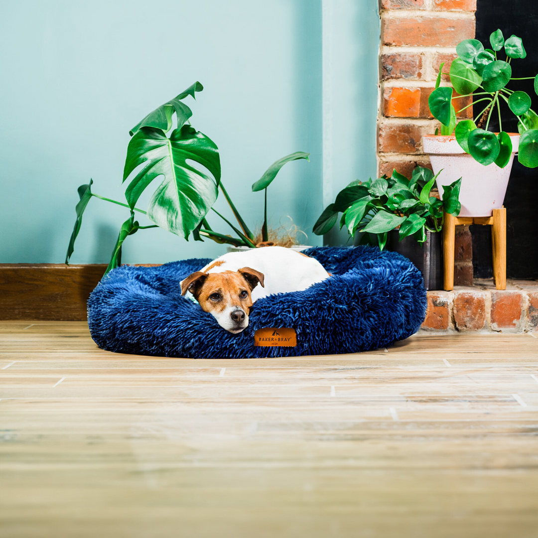 Donut Dog Bed Eco Friendly Luxury Calming Donut Dog Bed Navy