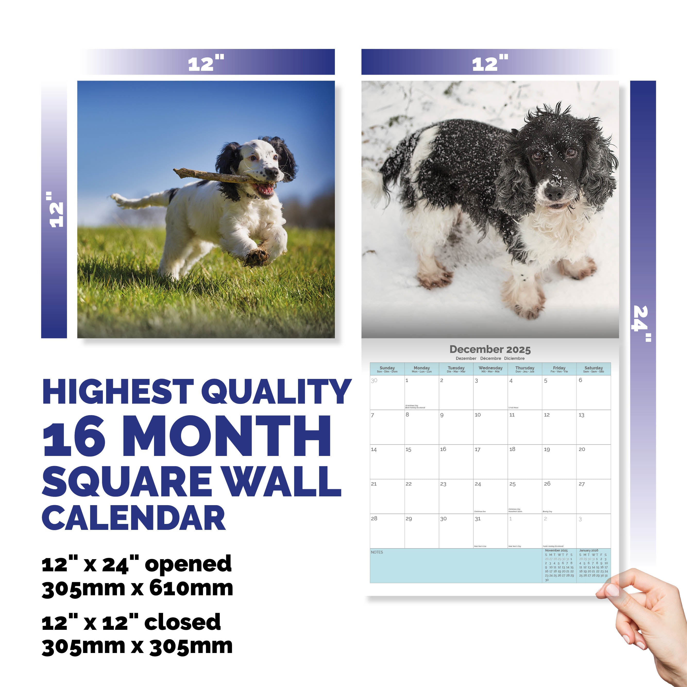 English Springer Spaniel Calendar 2025