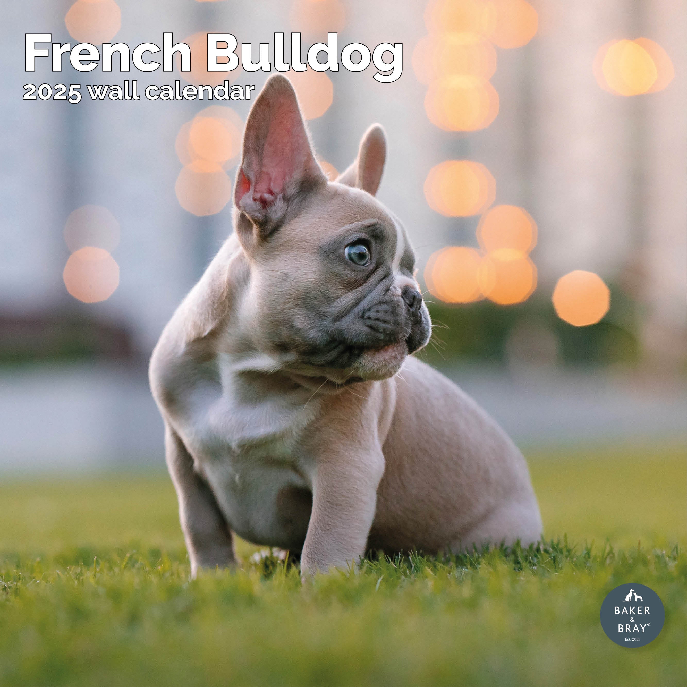 French Bulldog Calendar 2025