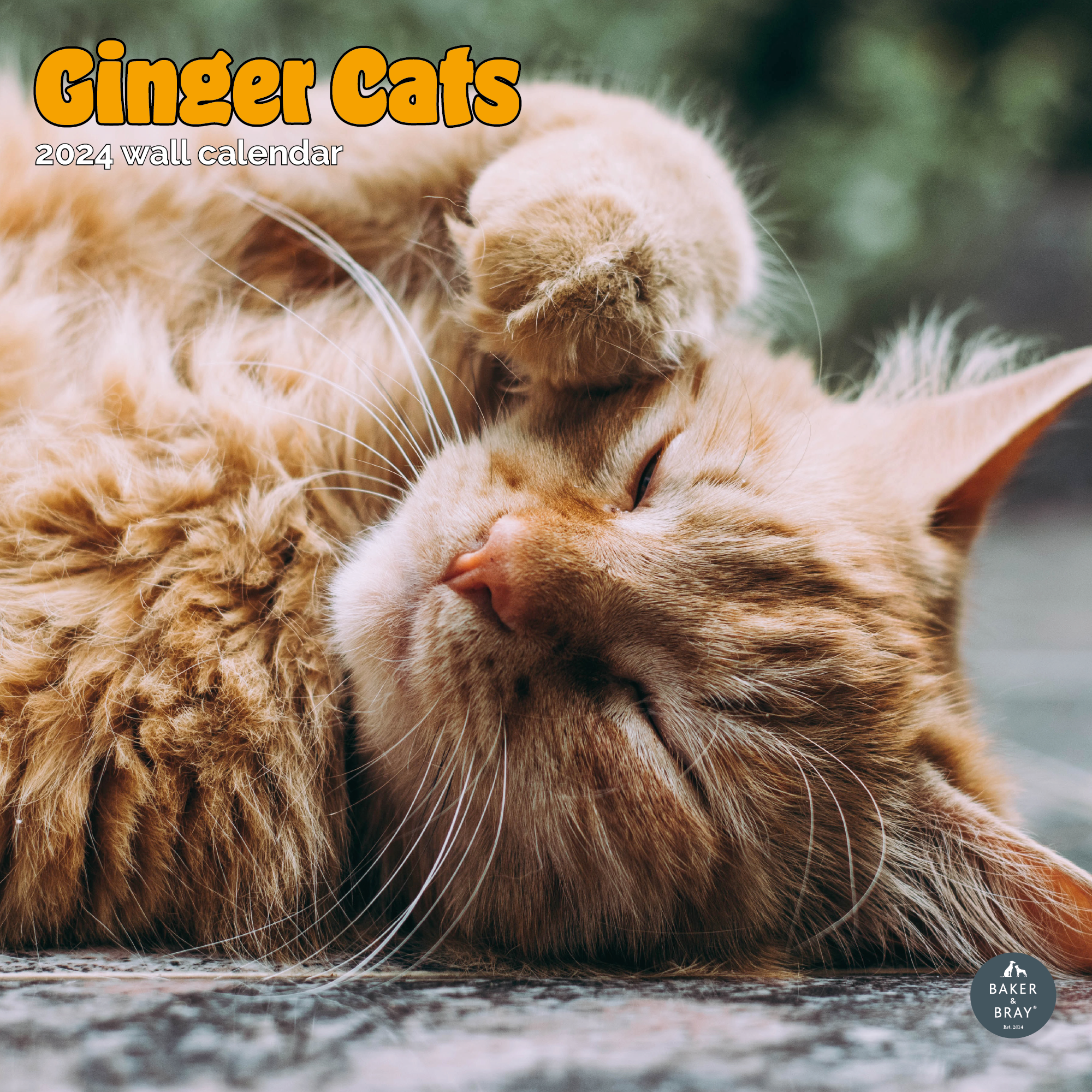 Ginger Cats Square Wall Calendar 2024 – RSPCA Shop