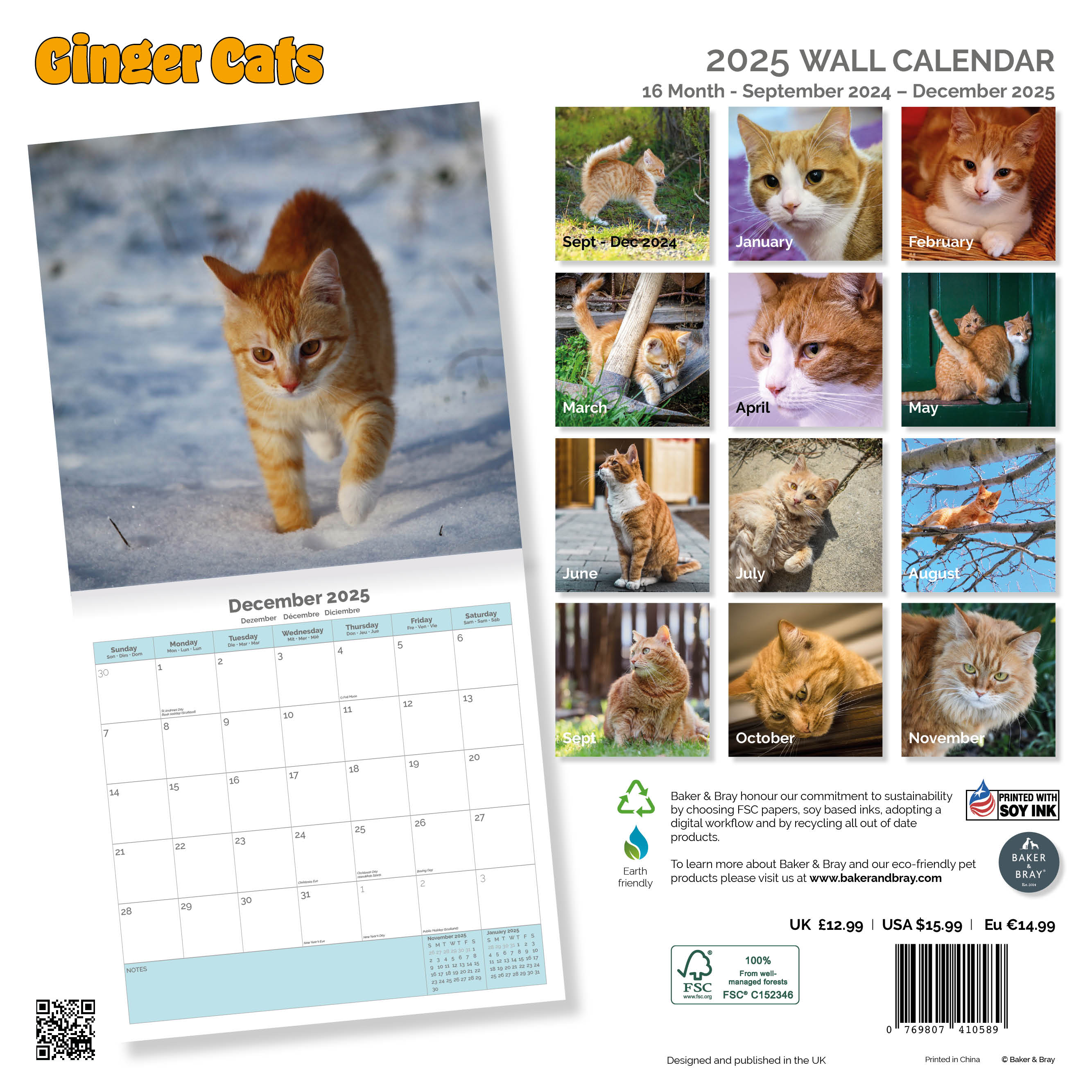 Ginger Cats Calendar 2025