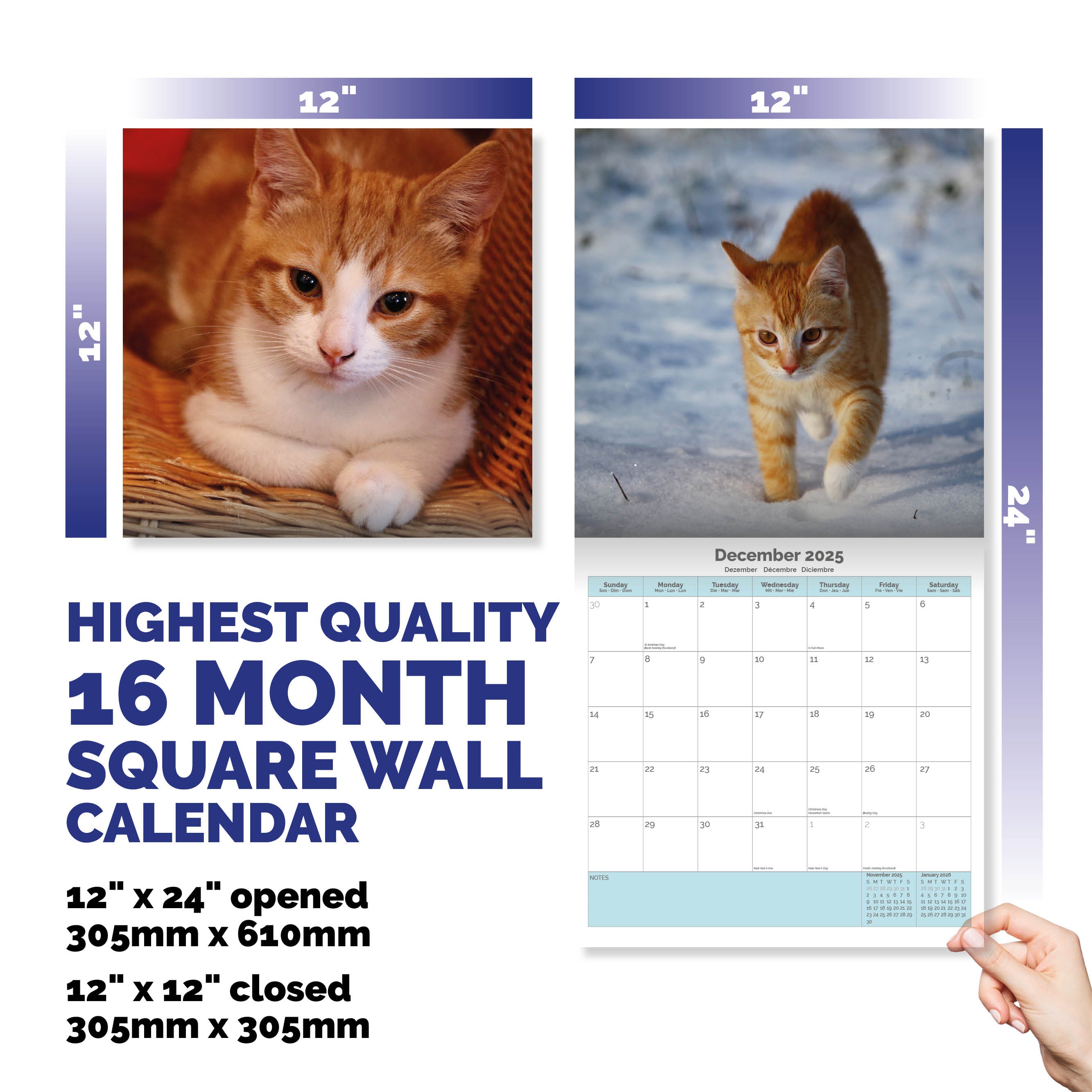 Ginger Cats Calendar 2025