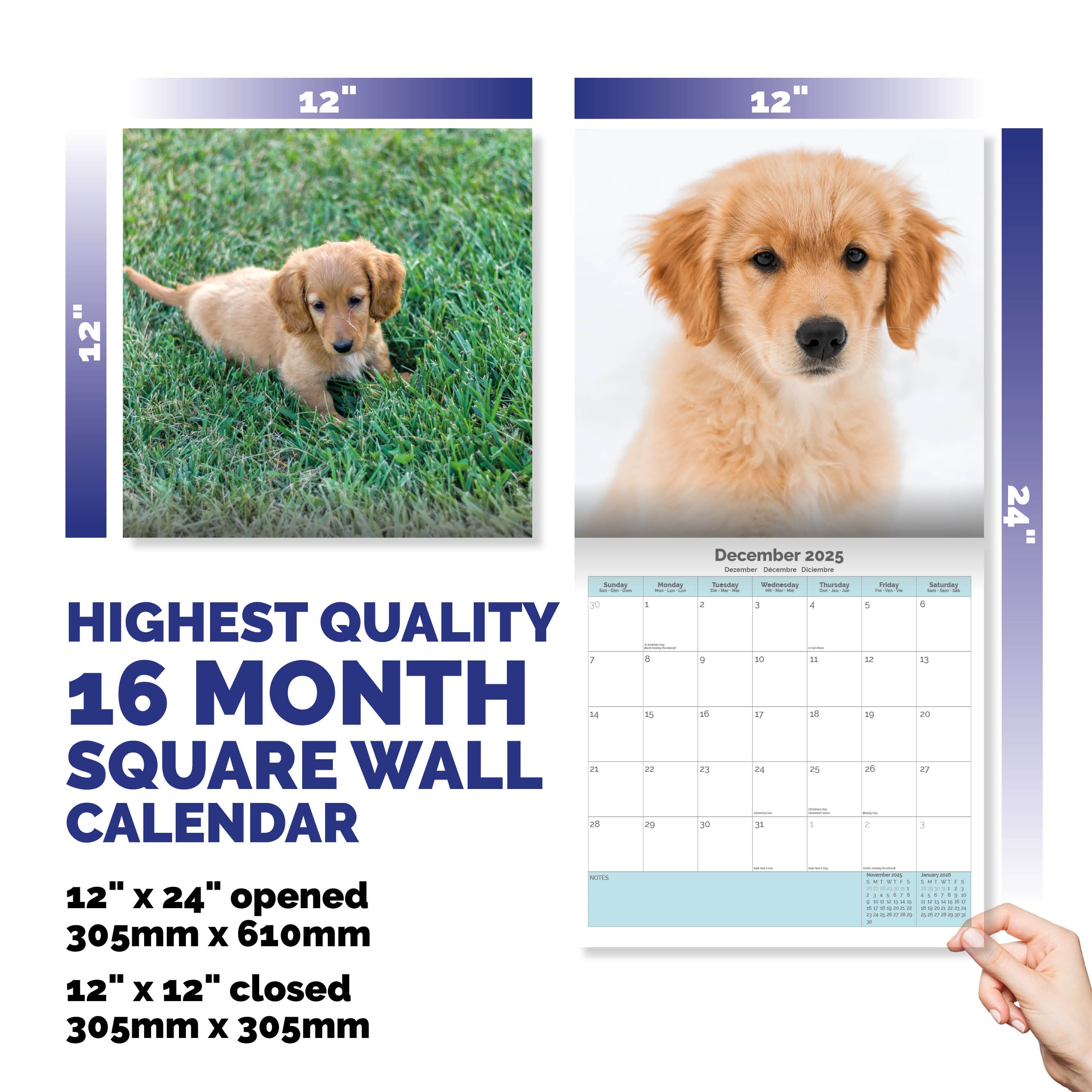 Golden Retriever Puppies Calendar 2025