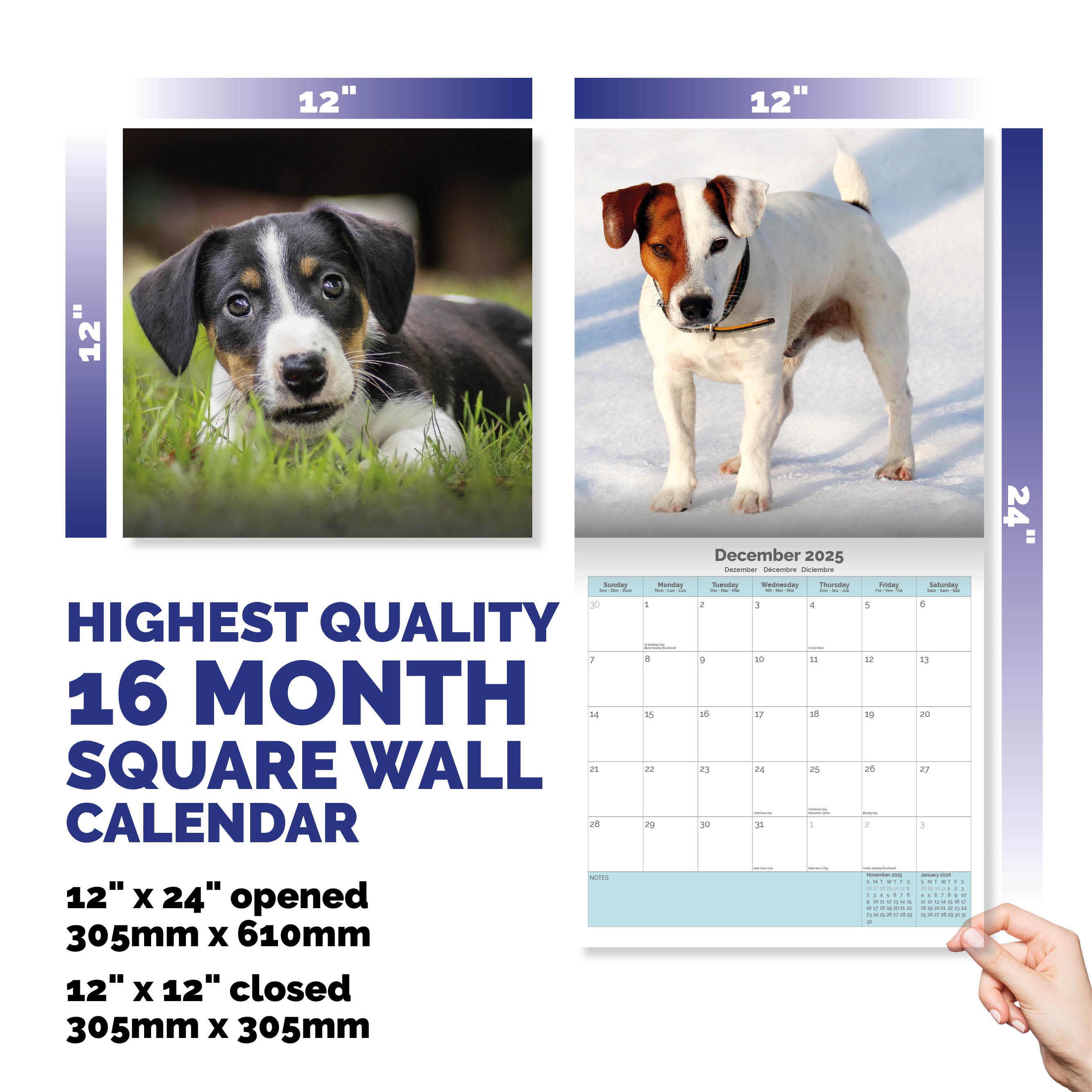 Jack Russell Calendar 2025