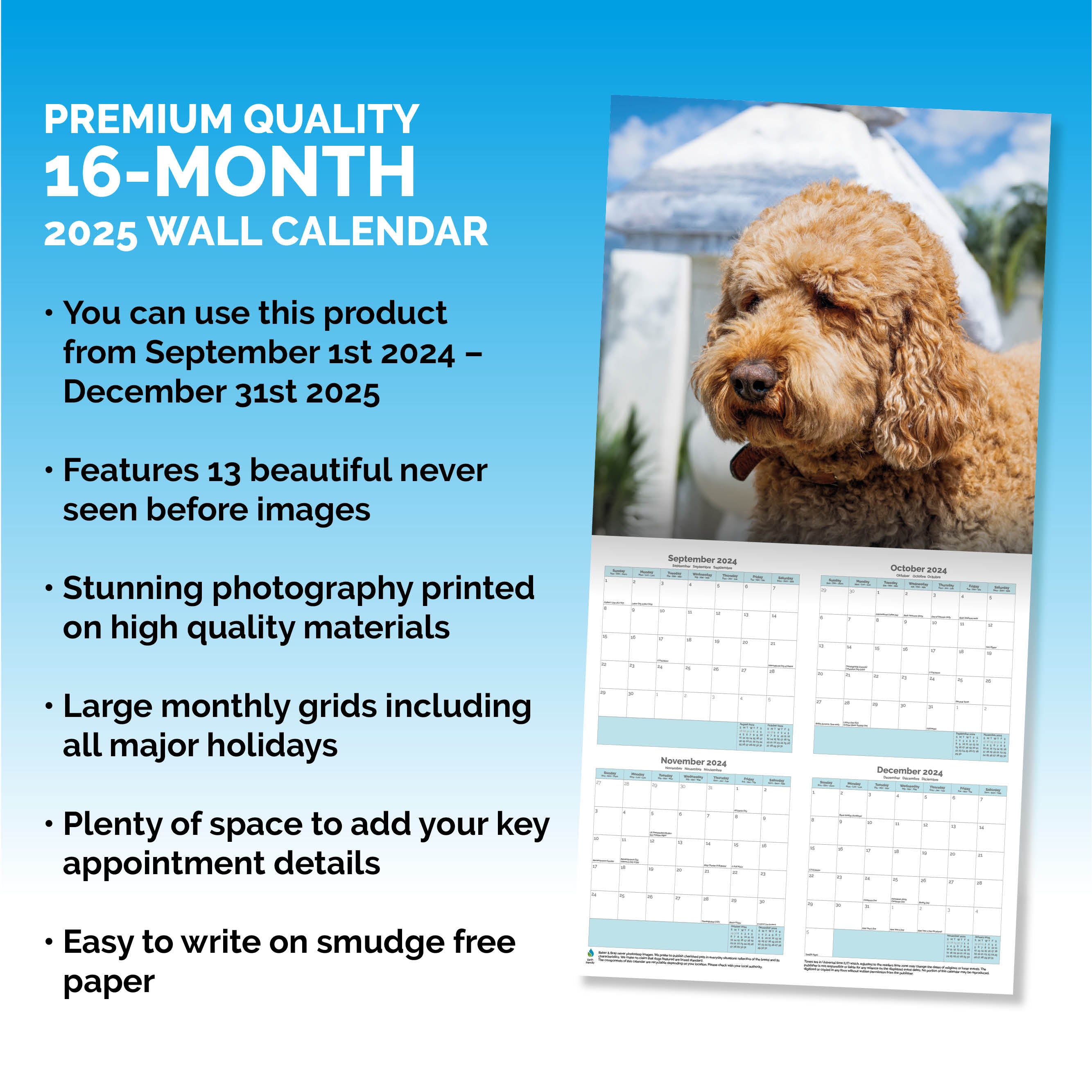 Labradoodle Calendar 2025