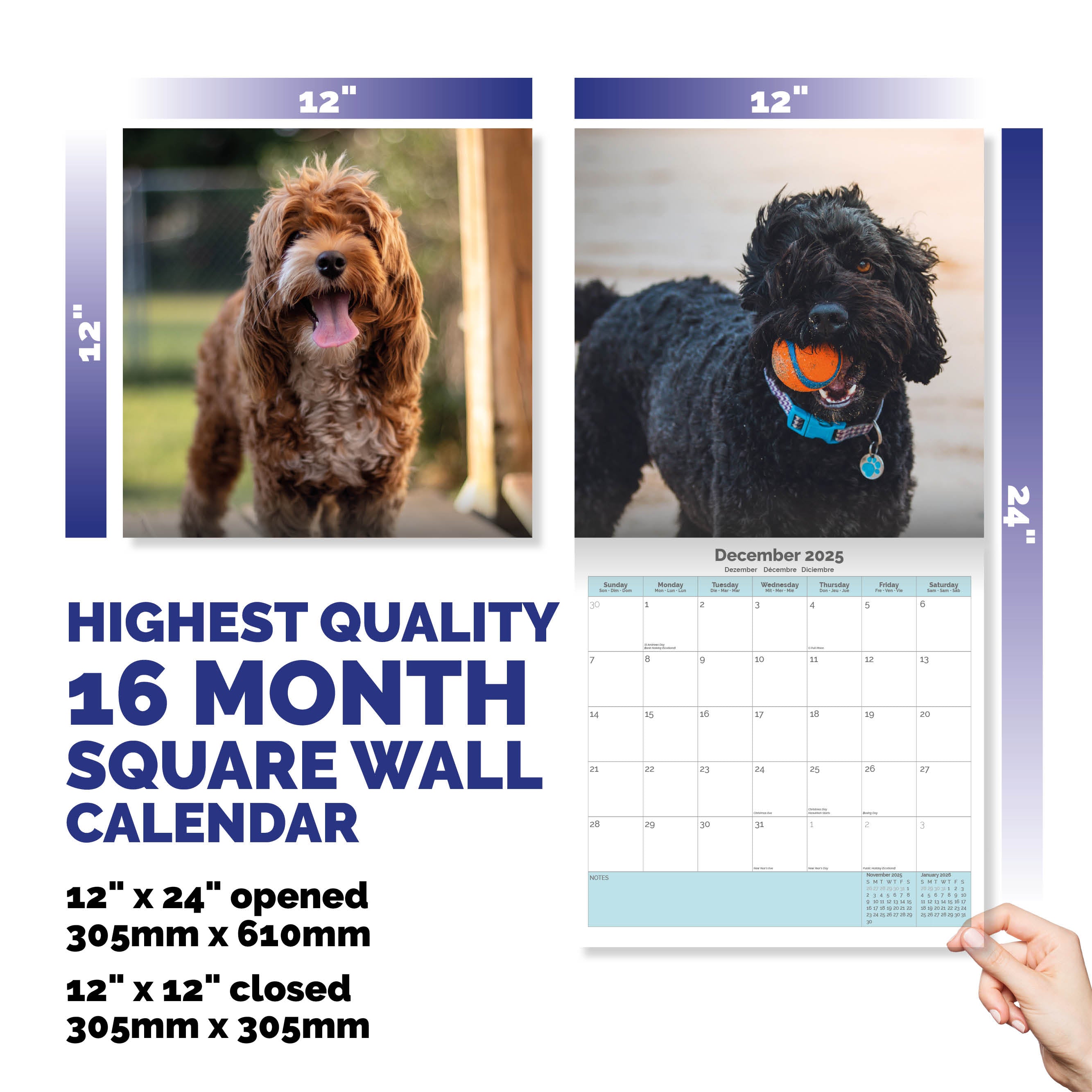 Labradoodle Calendar 2025