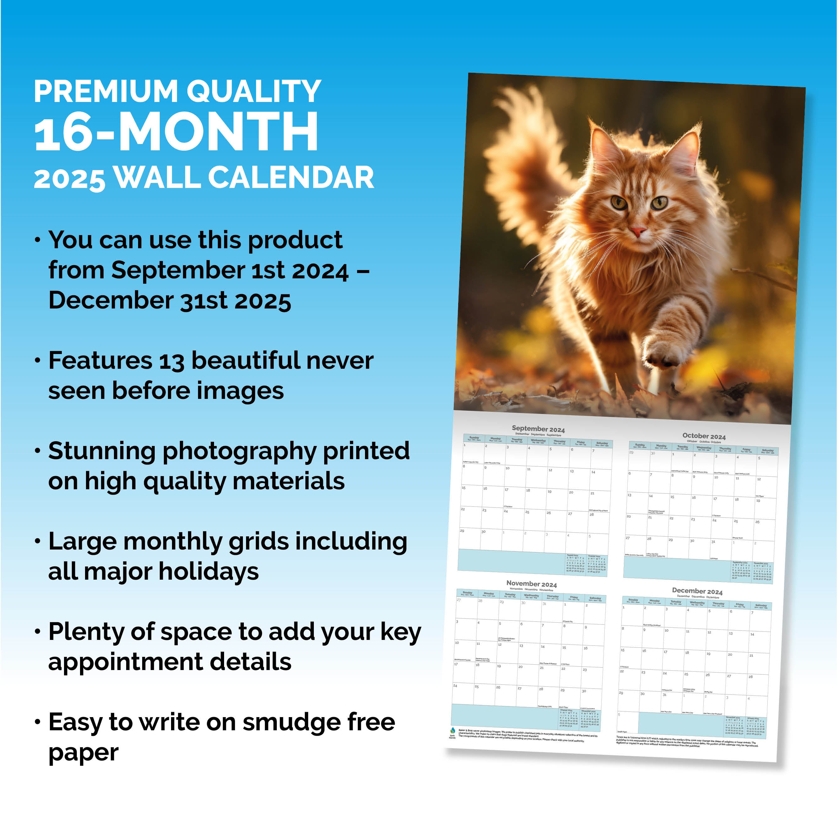 Maine Coon Cats Calendar 2025