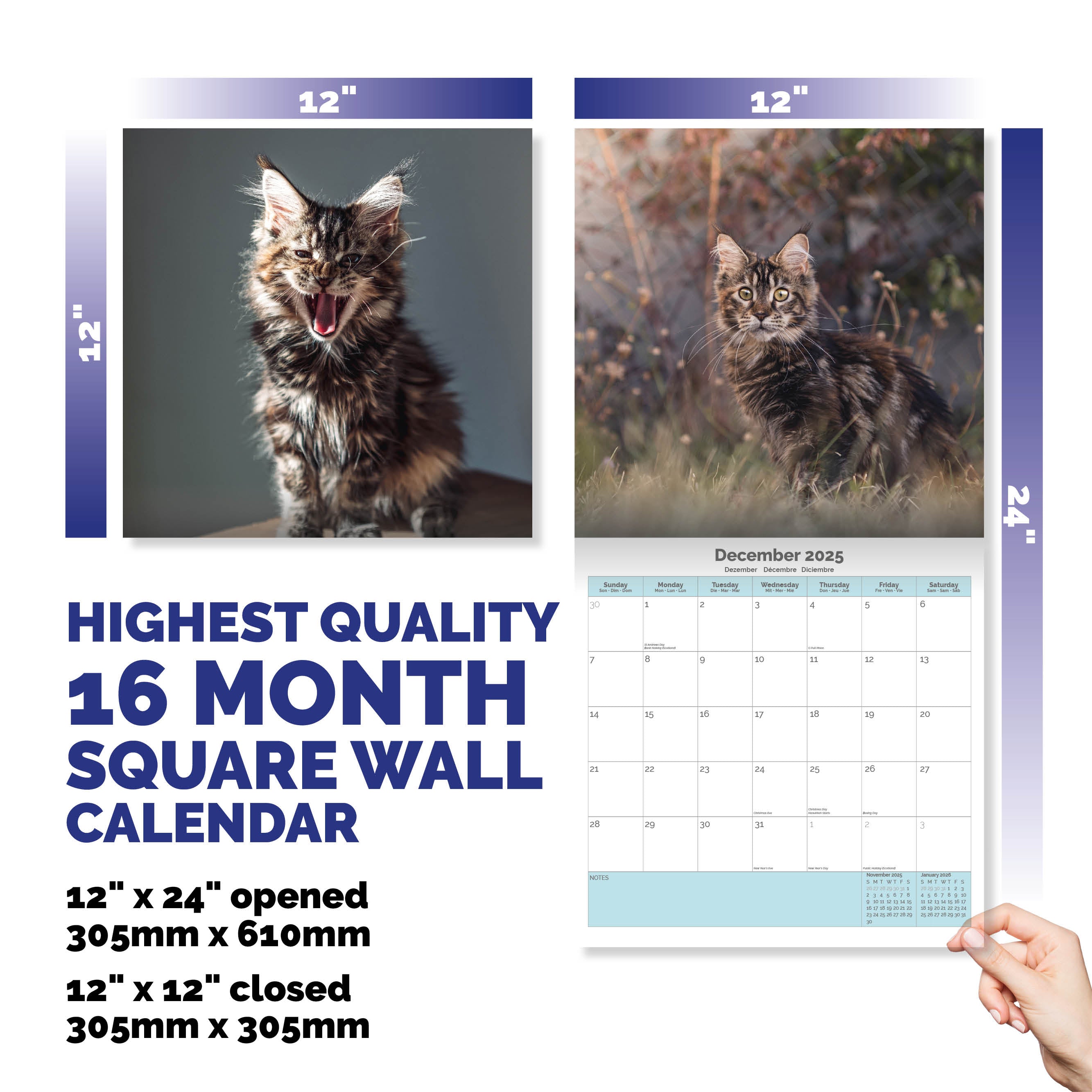 Maine Coon Cats Calendar 2025