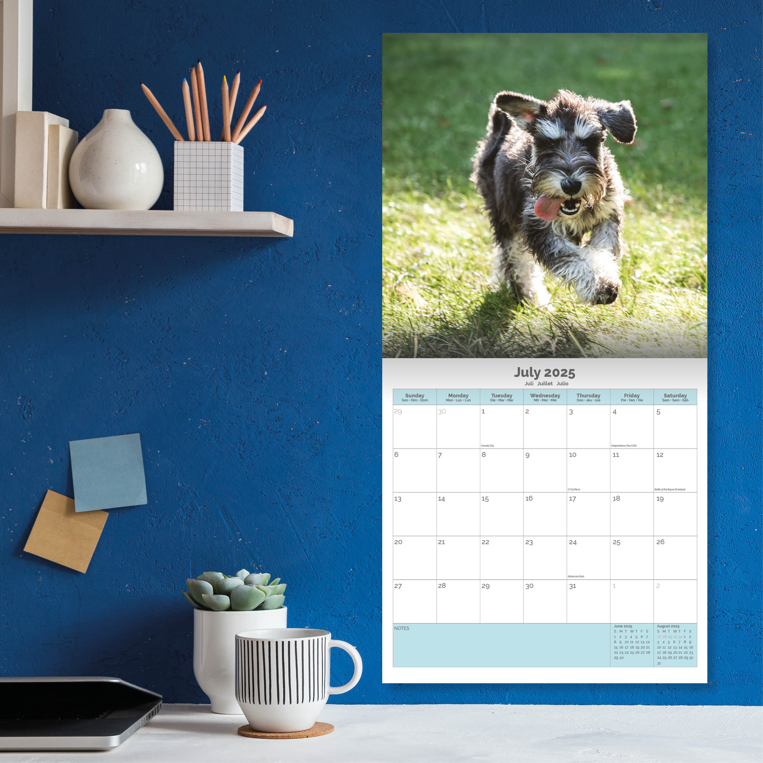 Miniature Schnauzer Calendar 2025