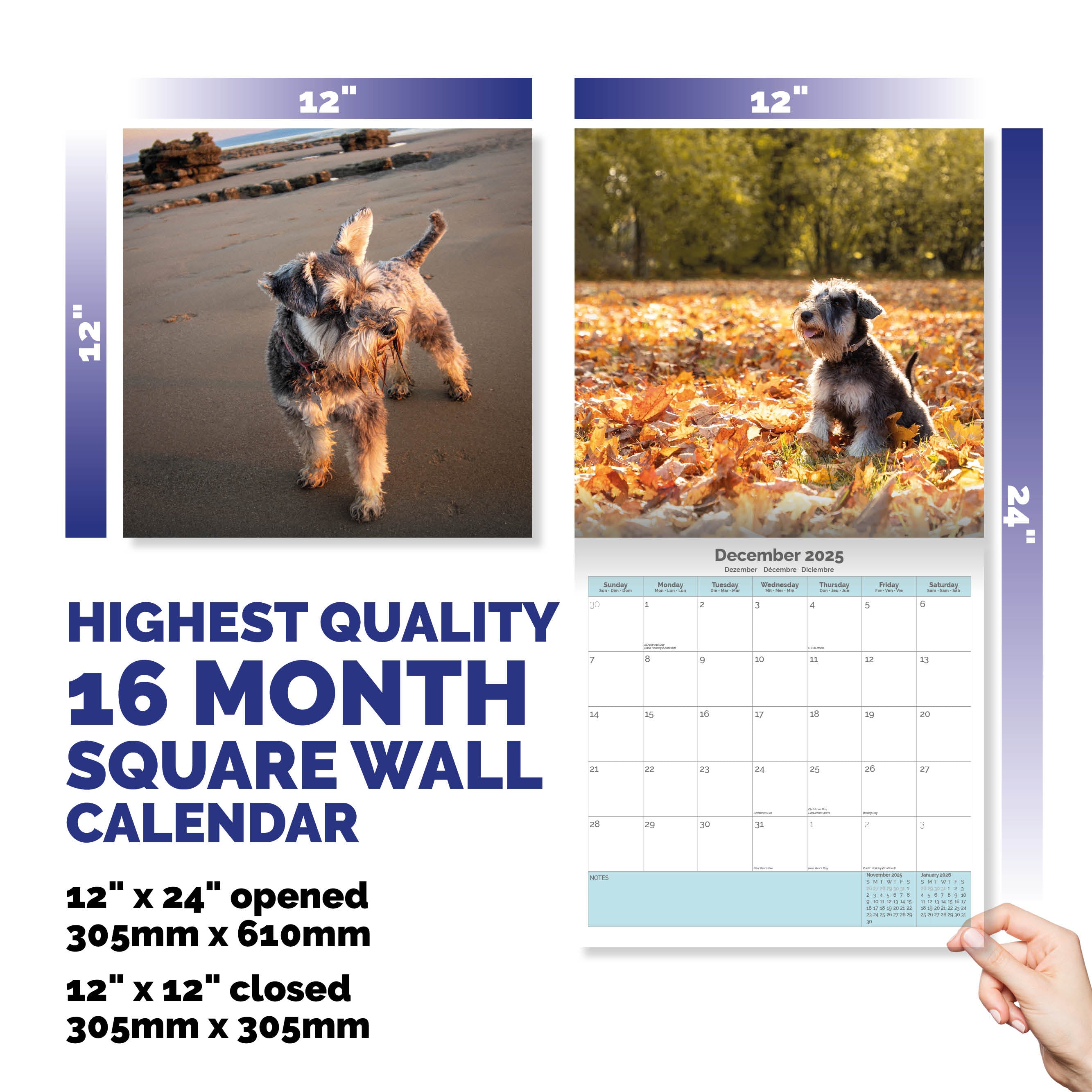 Miniature Schnauzer Calendar 2025