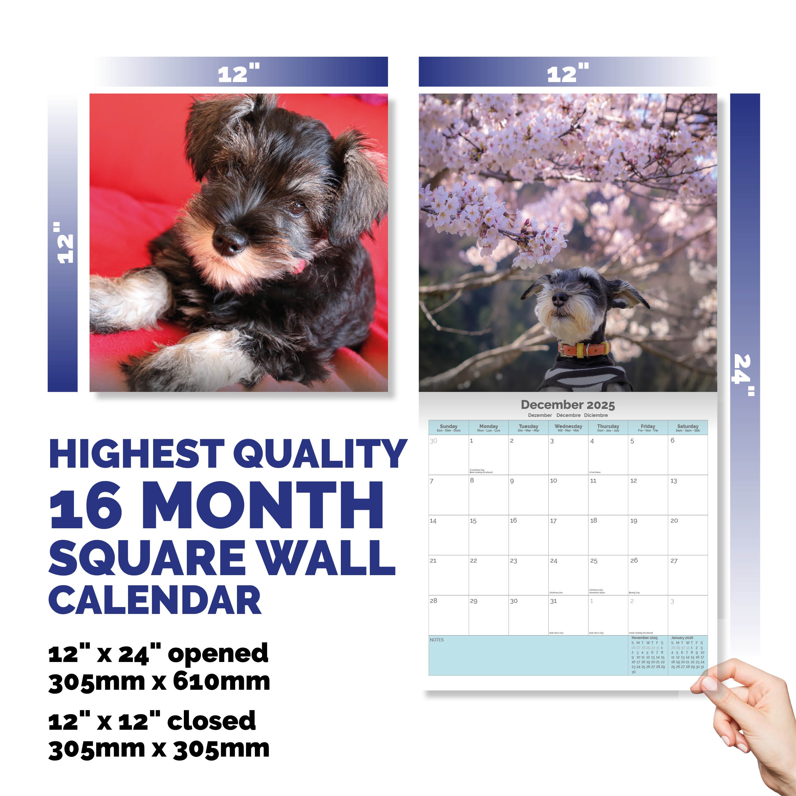 Miniature Schnauzer Puppies Calendar 2025