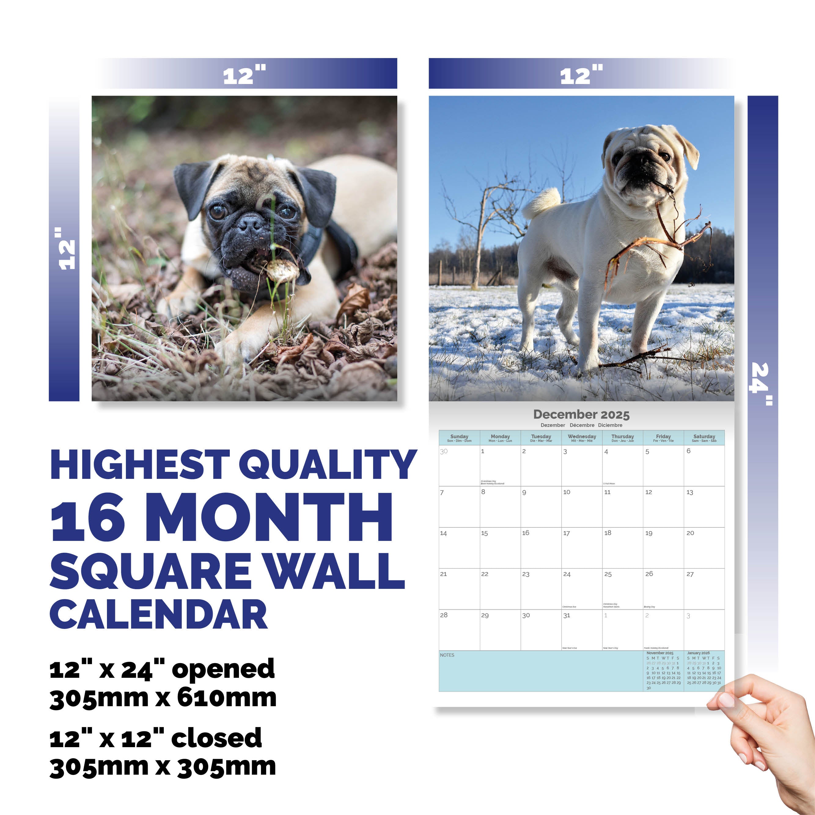 Pug Calendar 2025