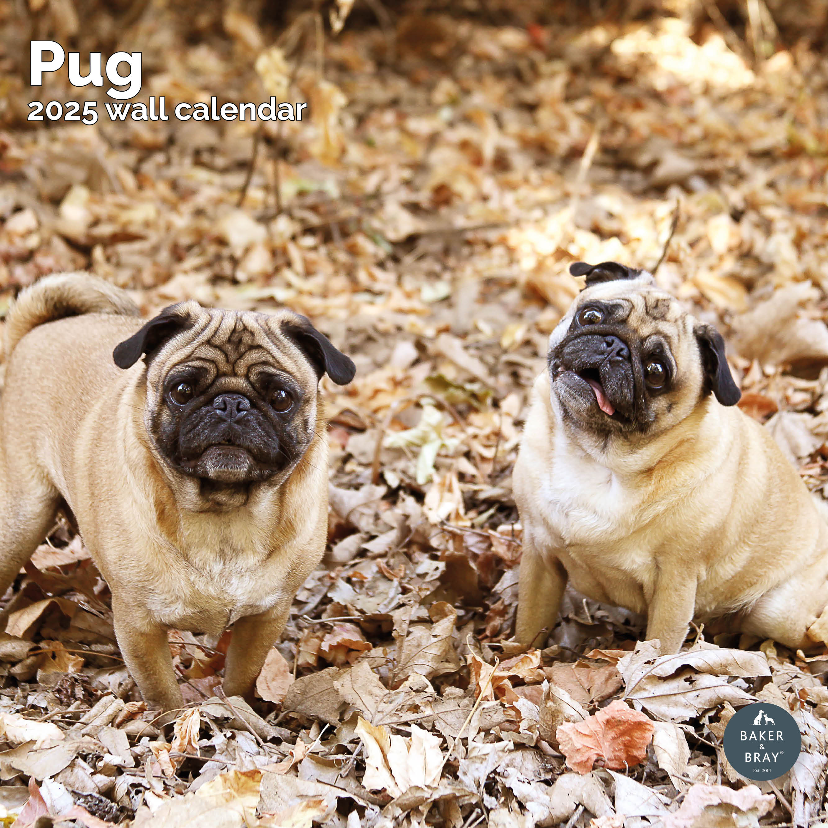 Pug Calendar 2025