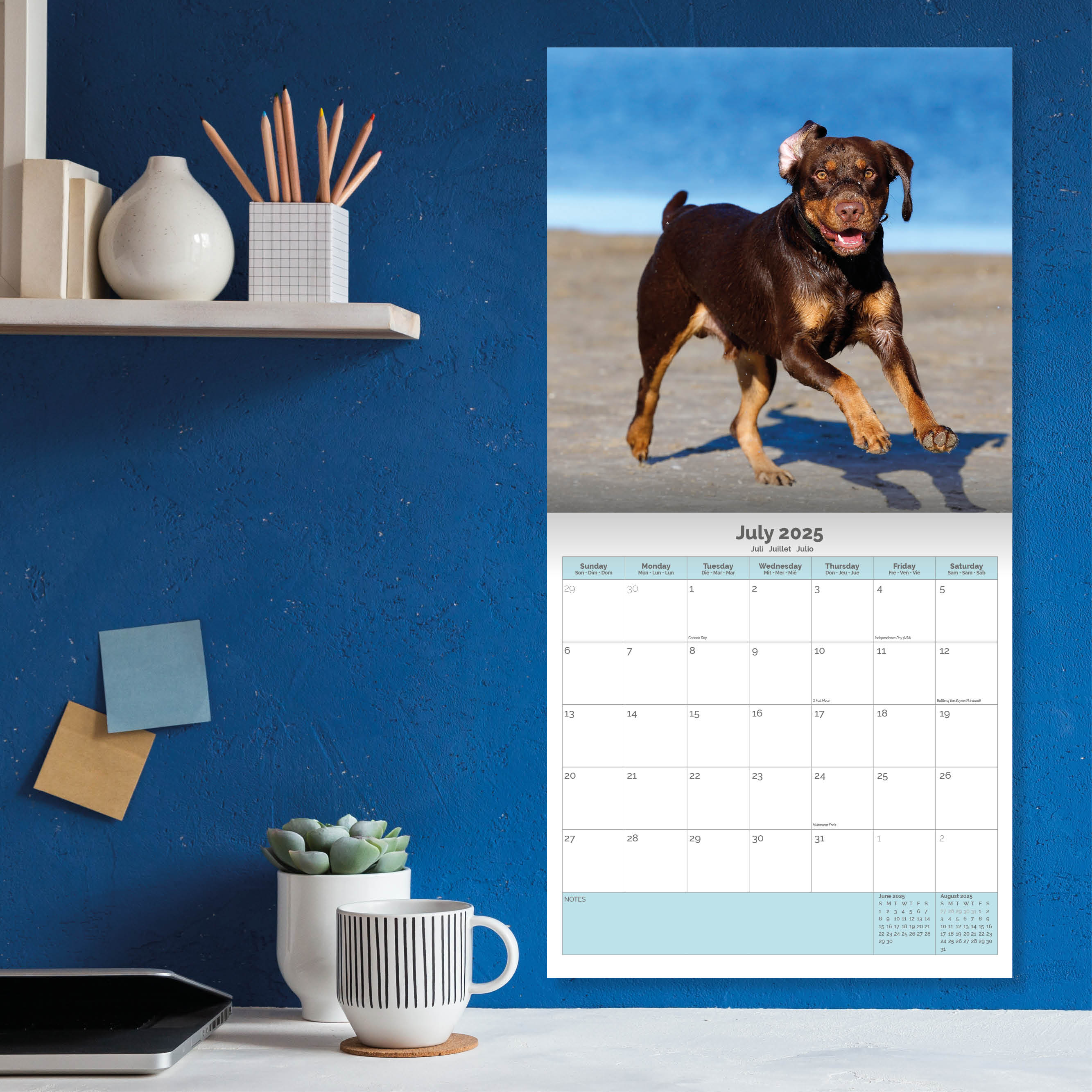 Rottweiler Calendar 2025